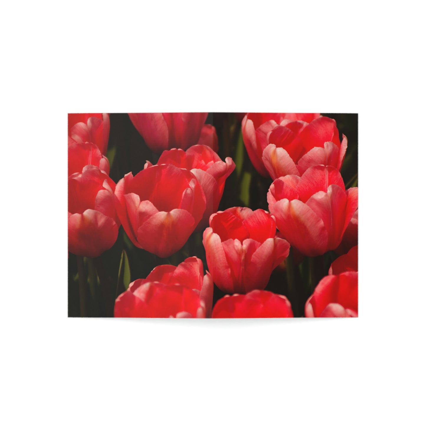 Flowers 07 Greeting Cards (1, 10, 30, and 50pcs)
