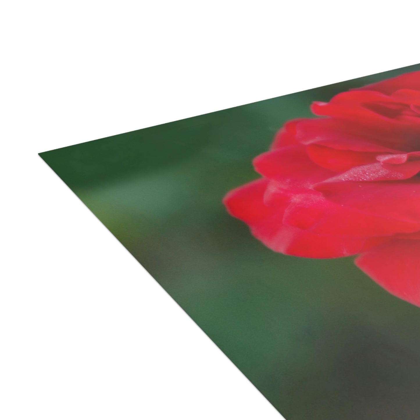 Flowers 13 Greeting Cards (1, 10, 30, and 50pcs)