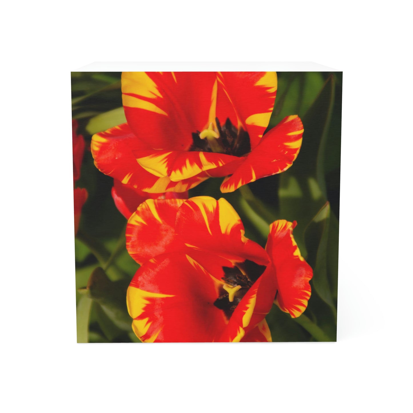 Flowers 12 Note Cube