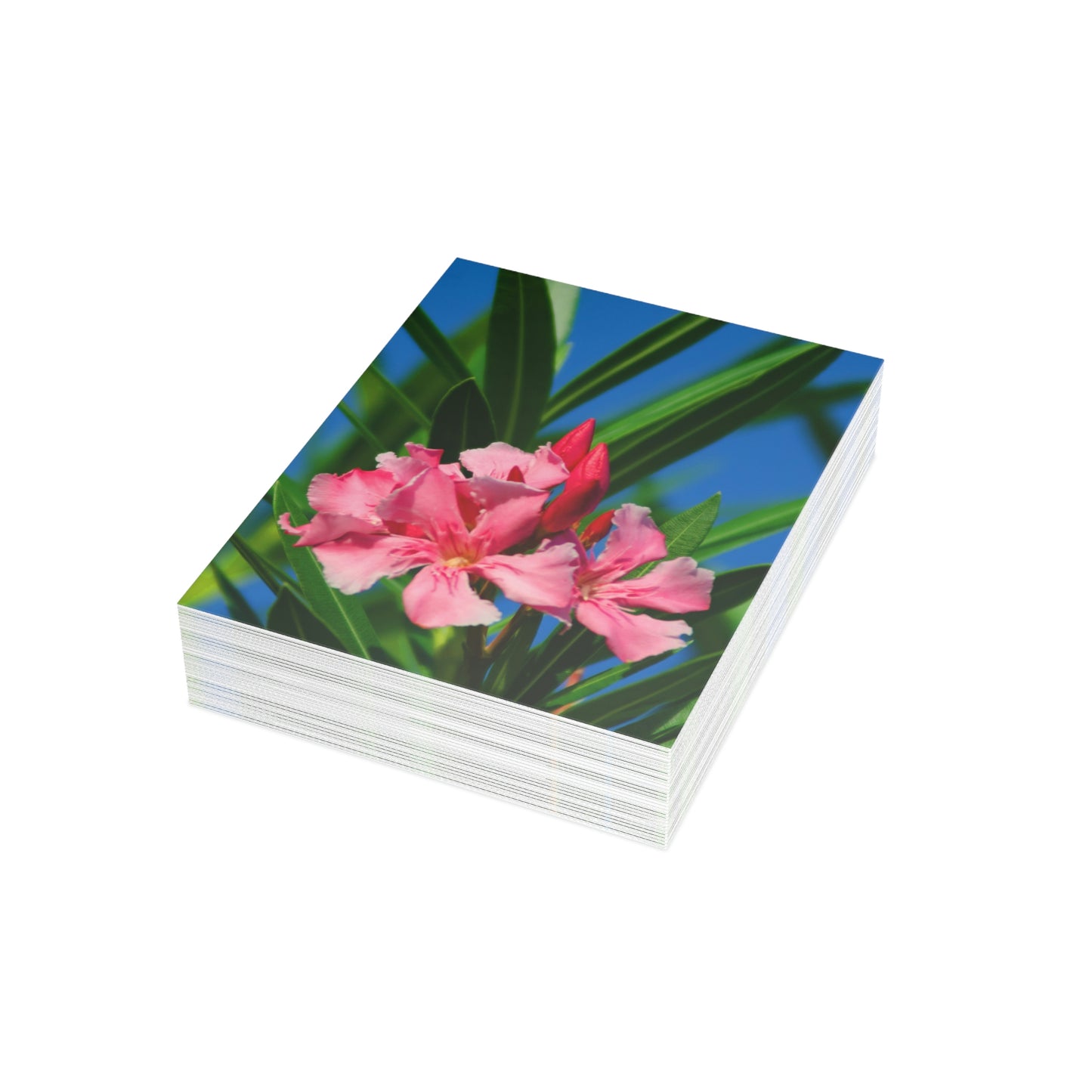 Flowers 30 Greeting Cards (1, 10, 30, and 50pcs)