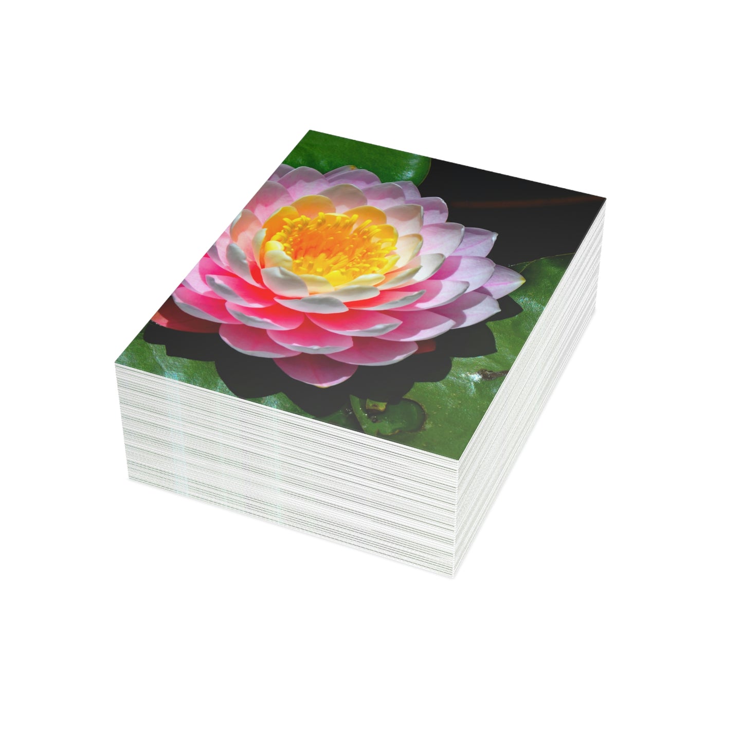 Flowers 25 Greeting Cards (1, 10, 30, and 50pcs)