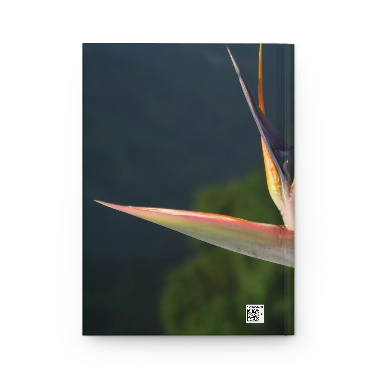 Flowers 25 Hardcover Journal Matte