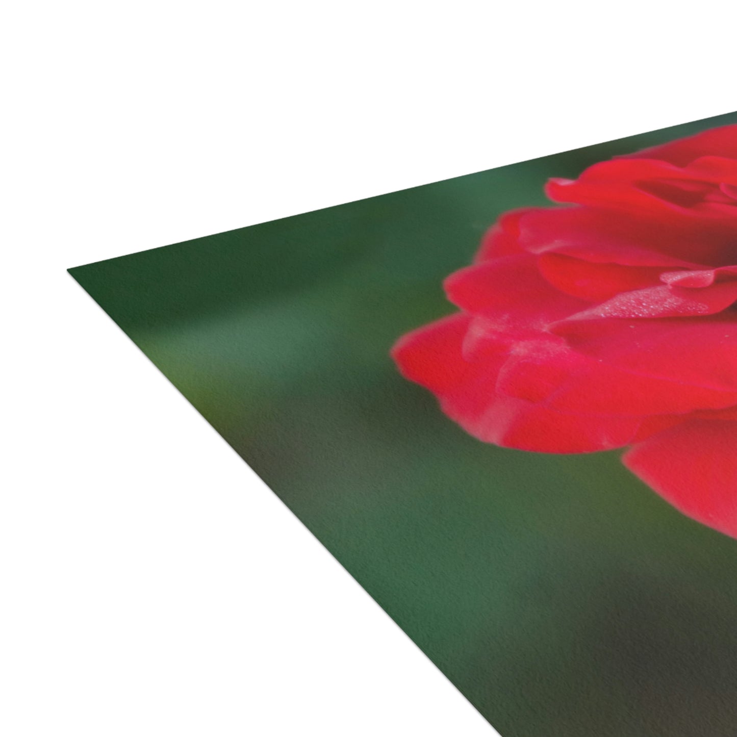 Flowers 13 Greeting Cards (1, 10, 30, and 50pcs)