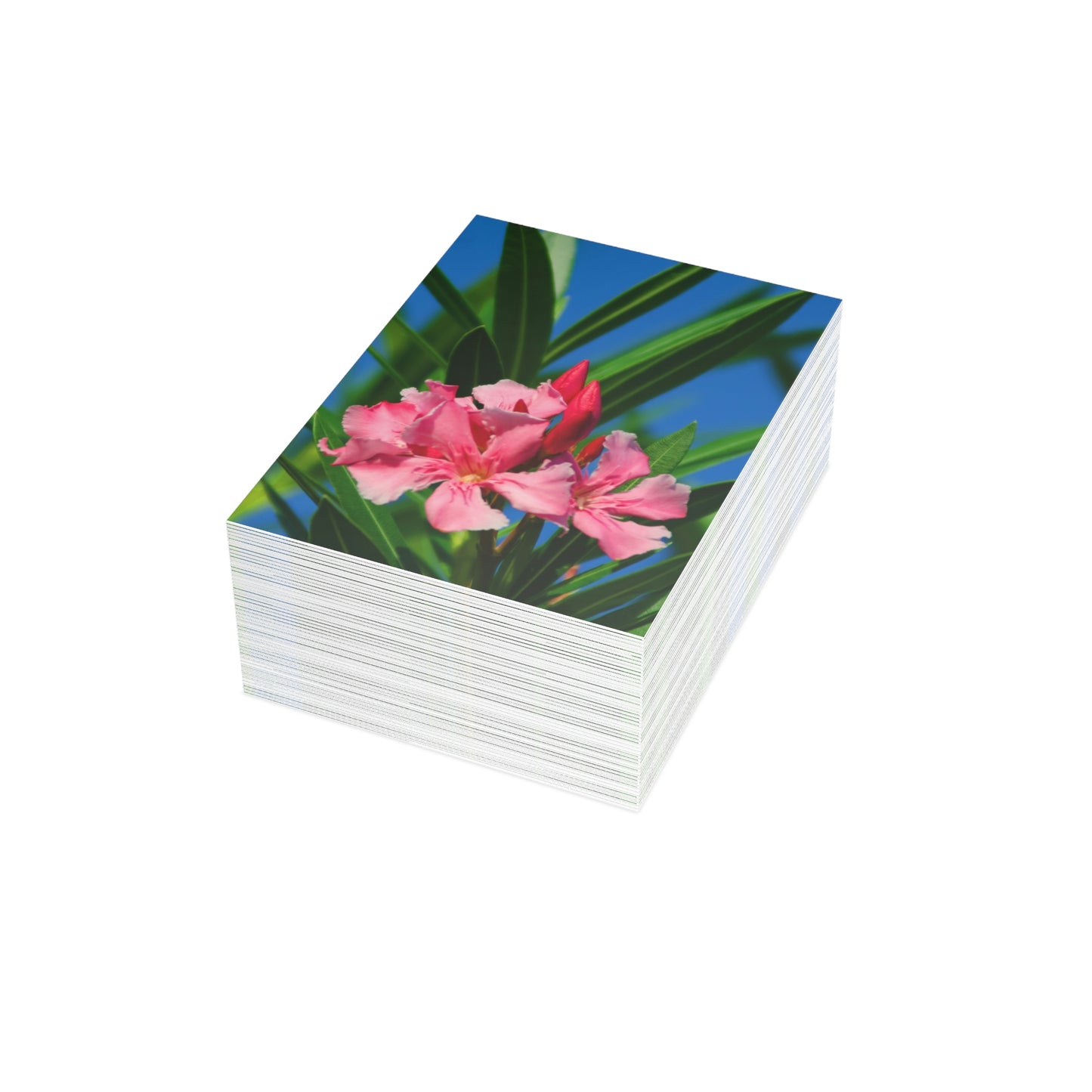 Flowers 30 Greeting Cards (1, 10, 30, and 50pcs)
