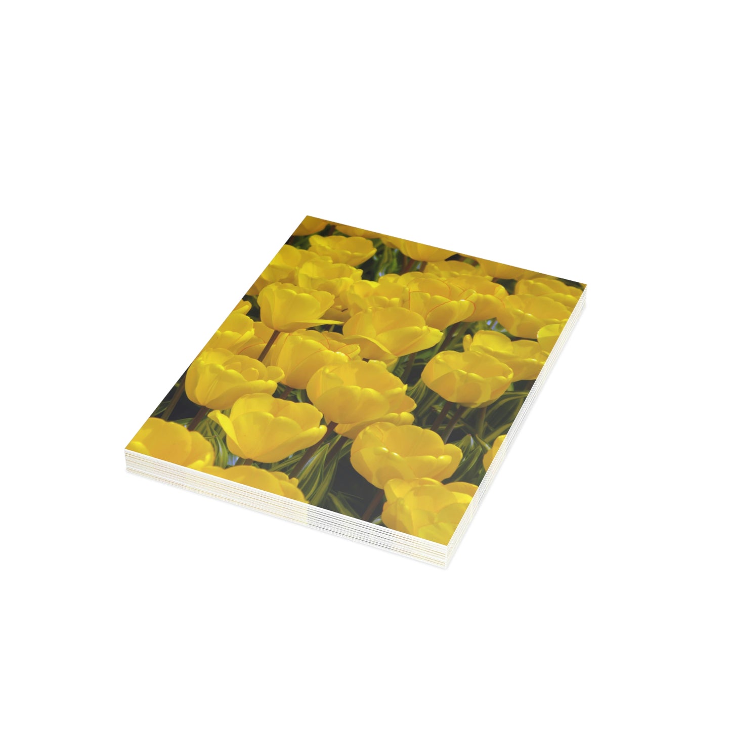 Flowers 23 Greeting Cards (1, 10, 30, and 50pcs)