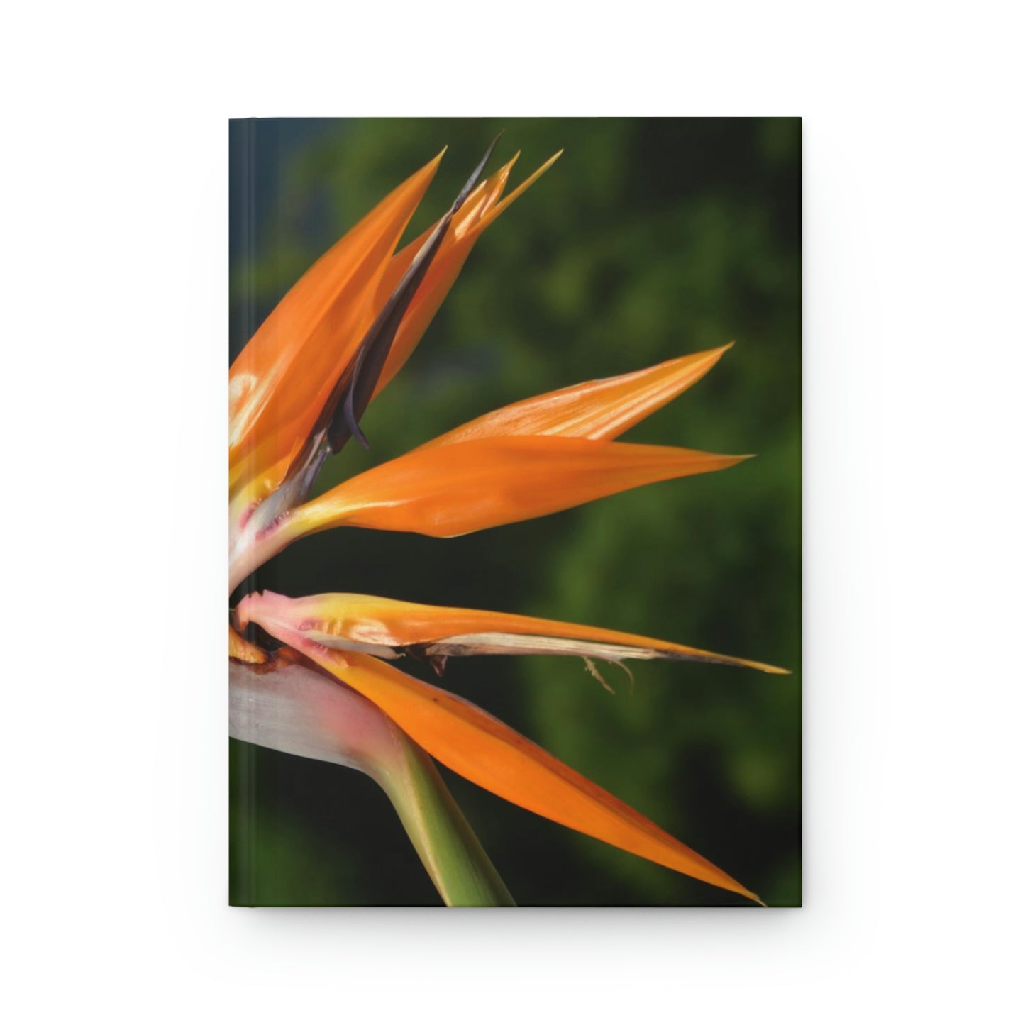 Flowers 25 Hardcover Journal Matte