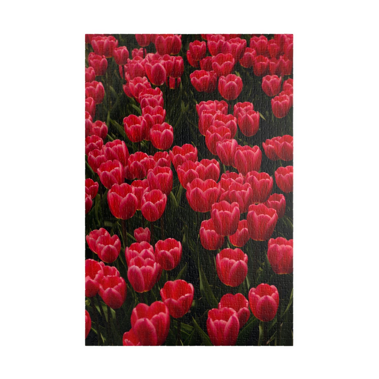 Flowers 24 Puzzle (110, 252, 500, 1014-piece)