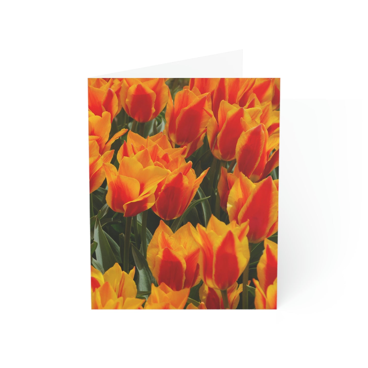 Flowers 18 Greeting Cards (1, 10, 30, and 50pcs)