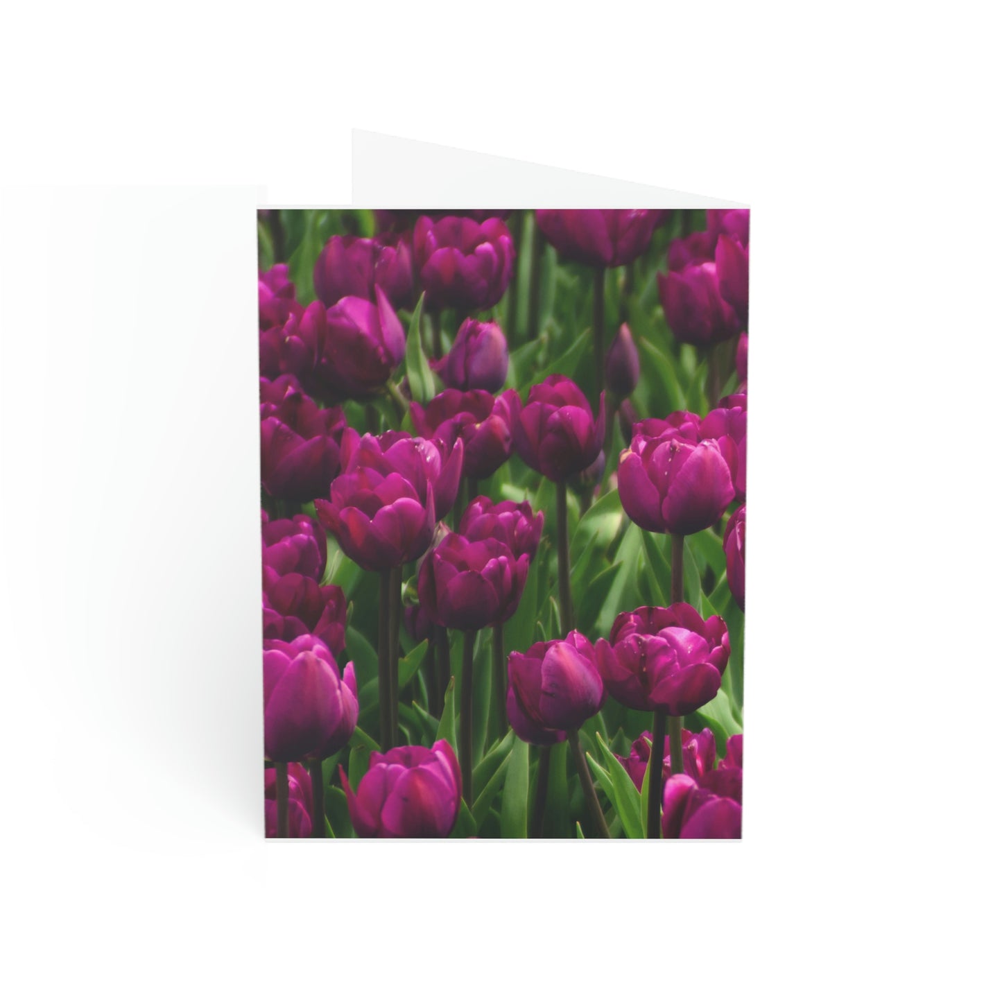 Flowers 20 Greeting Cards (1, 10, 30, and 50pcs)