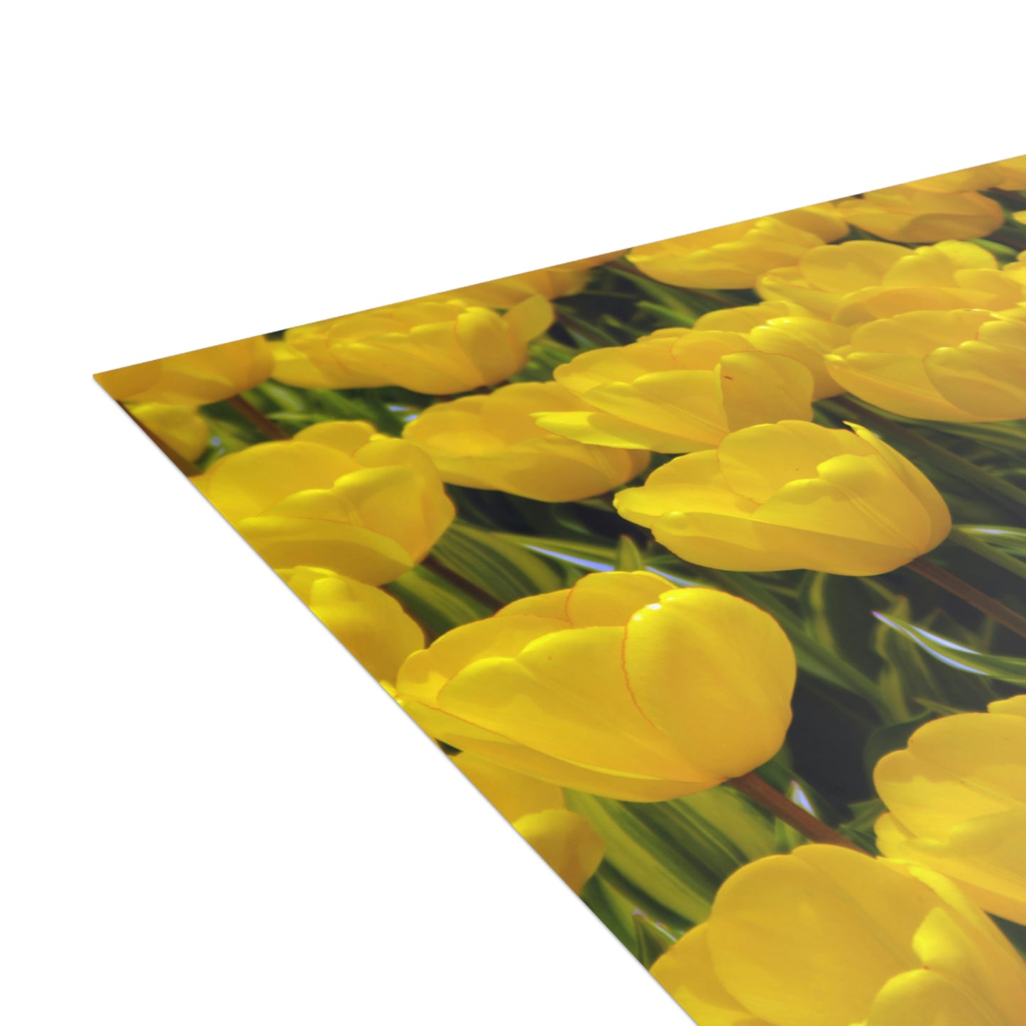 Flowers 23 Greeting Cards (1, 10, 30, and 50pcs)