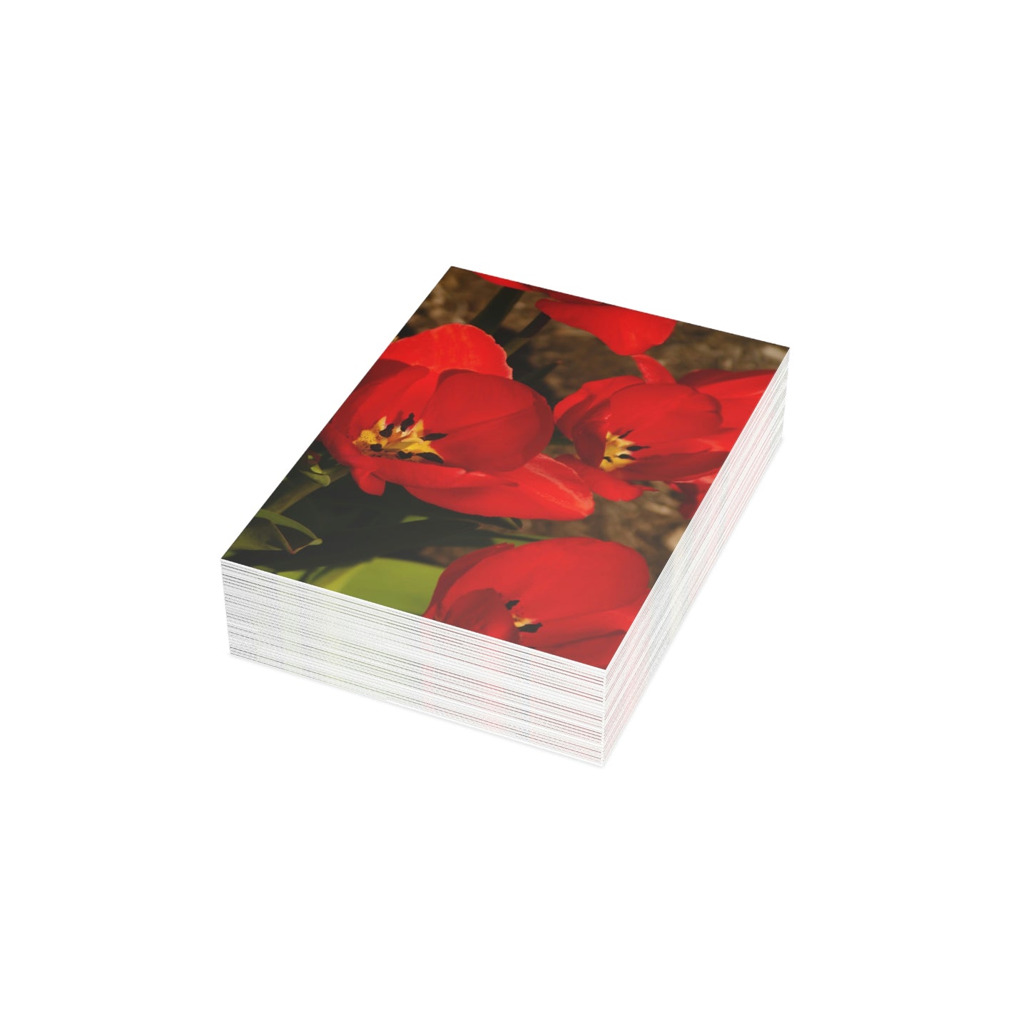 Flowers 05 Greeting Cards (1, 10, 30, and 50pcs)