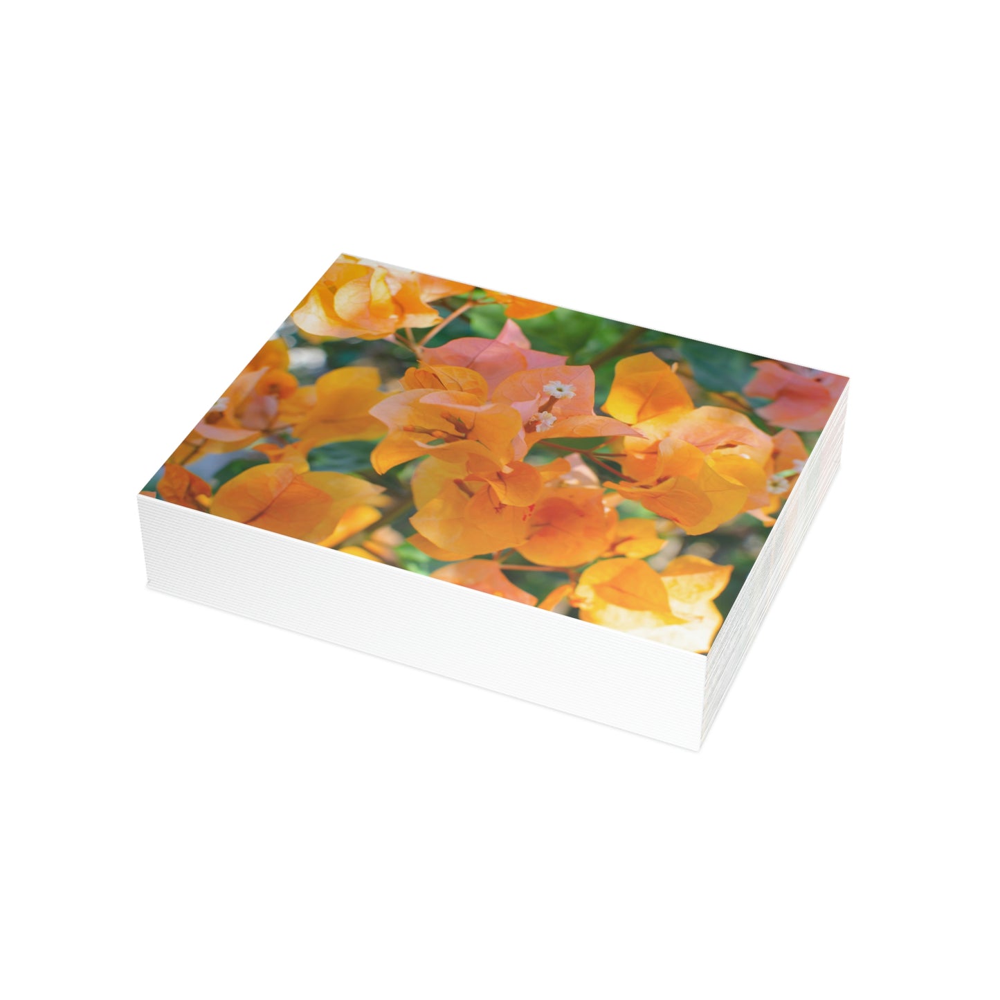 Flowers 29 Greeting Card Bundles (envelopes not included)