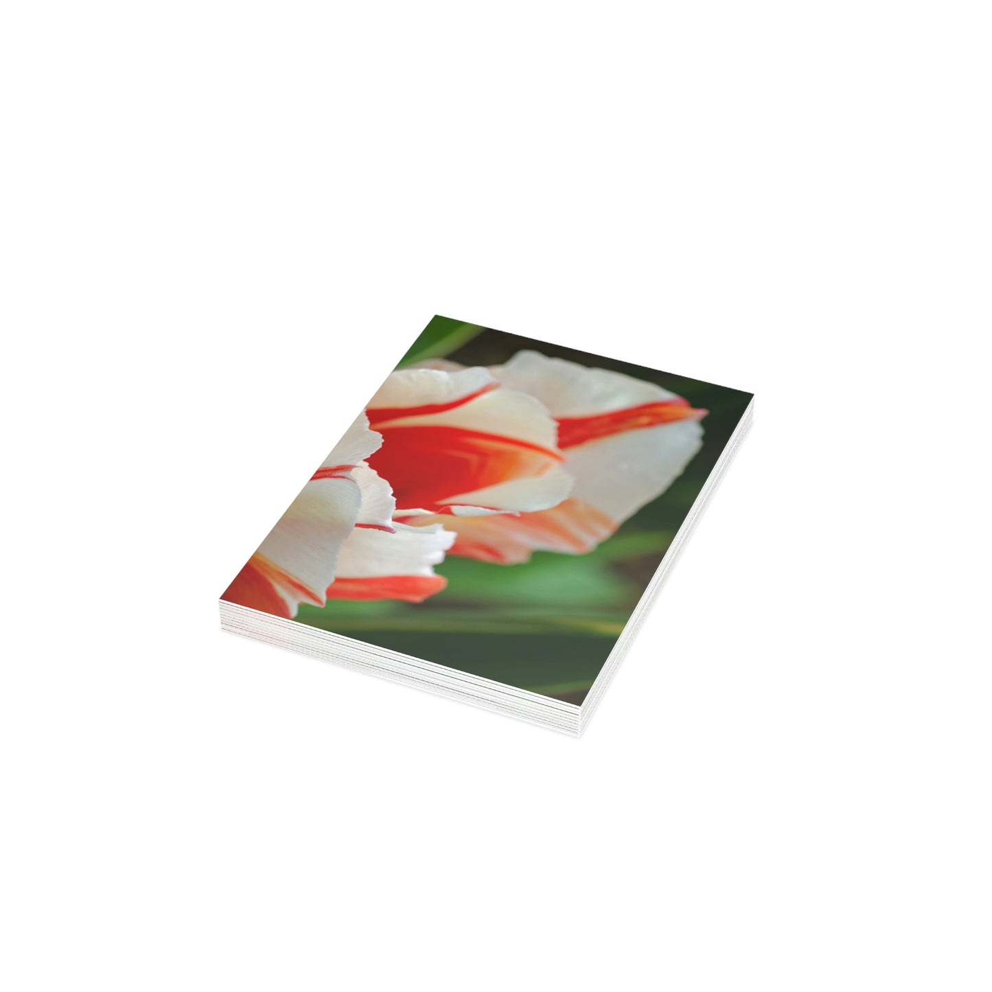 Flowers 12 Greeting Cards (1, 10, 30, and 50pcs)