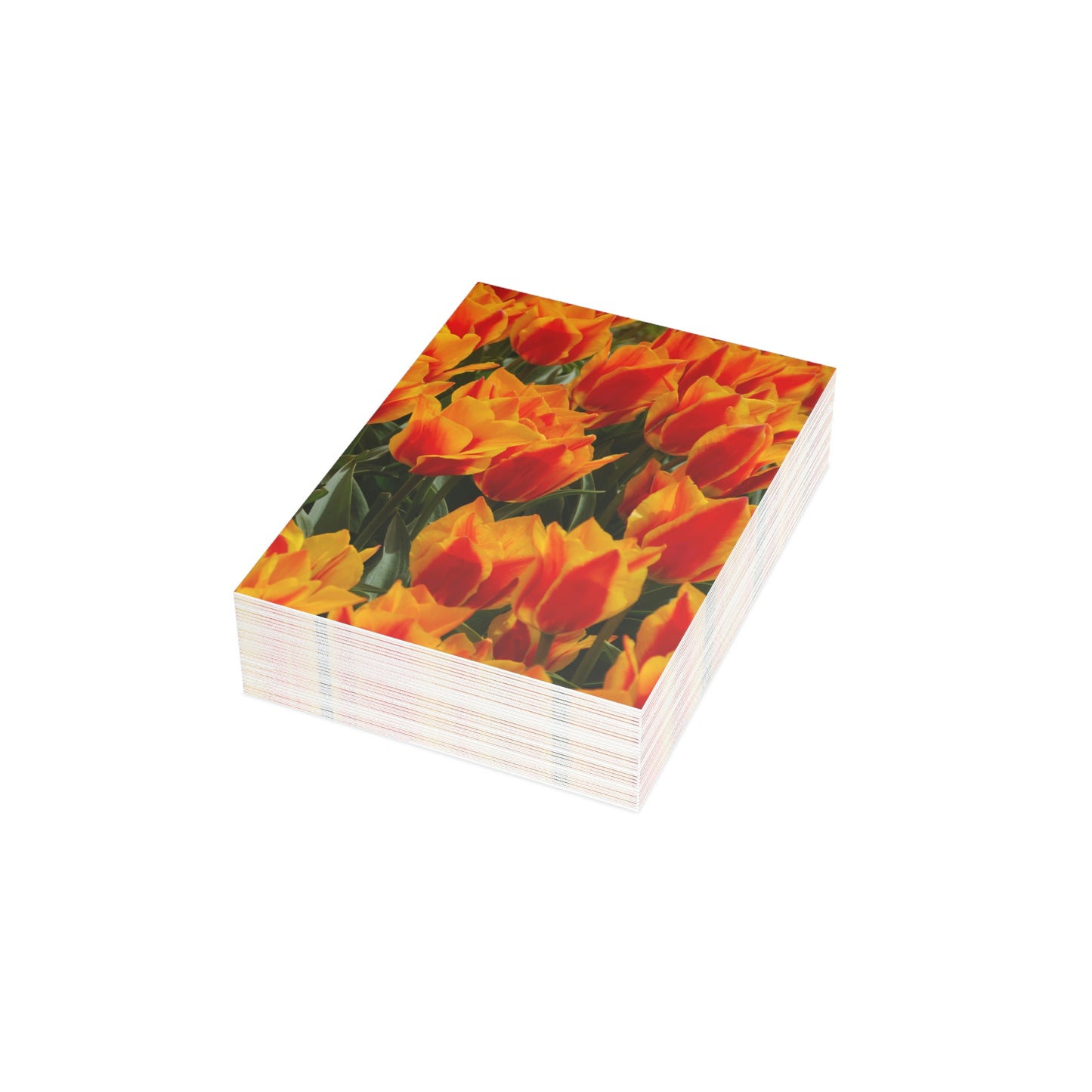 Flowers 18 Greeting Cards (1, 10, 30, and 50pcs)
