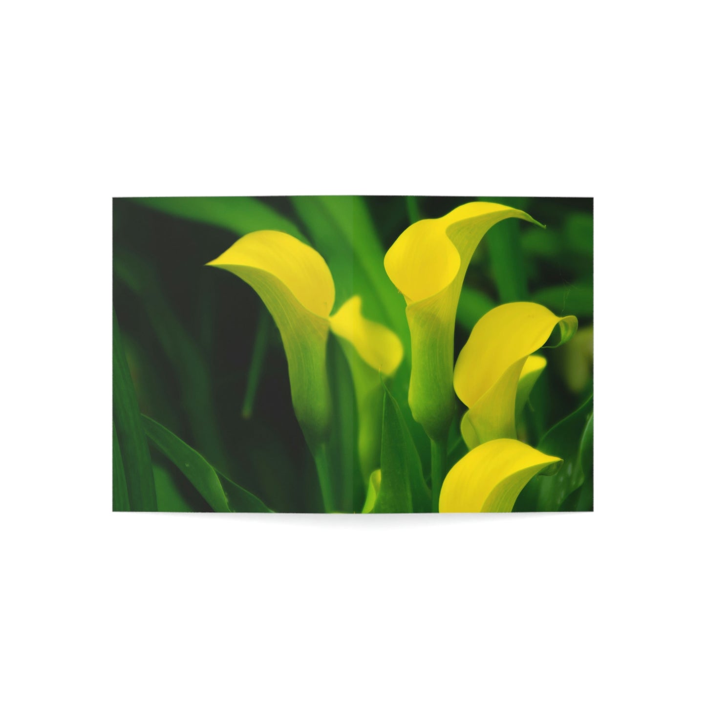 Flowers 33 Greeting Cards (1, 10, 30, and 50pcs)
