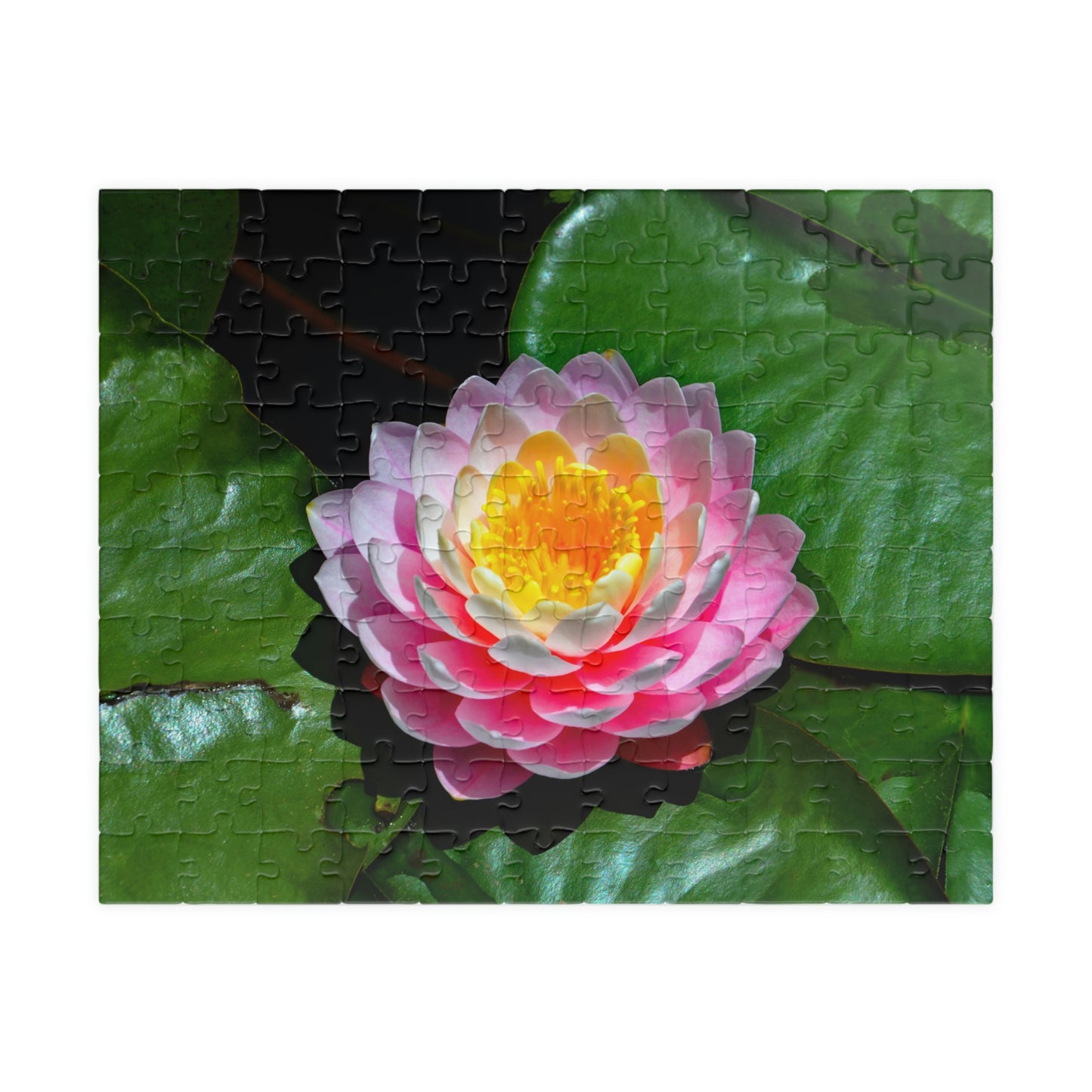 Flowers 25 Puzzle (110, 252, 500, 1014-piece)