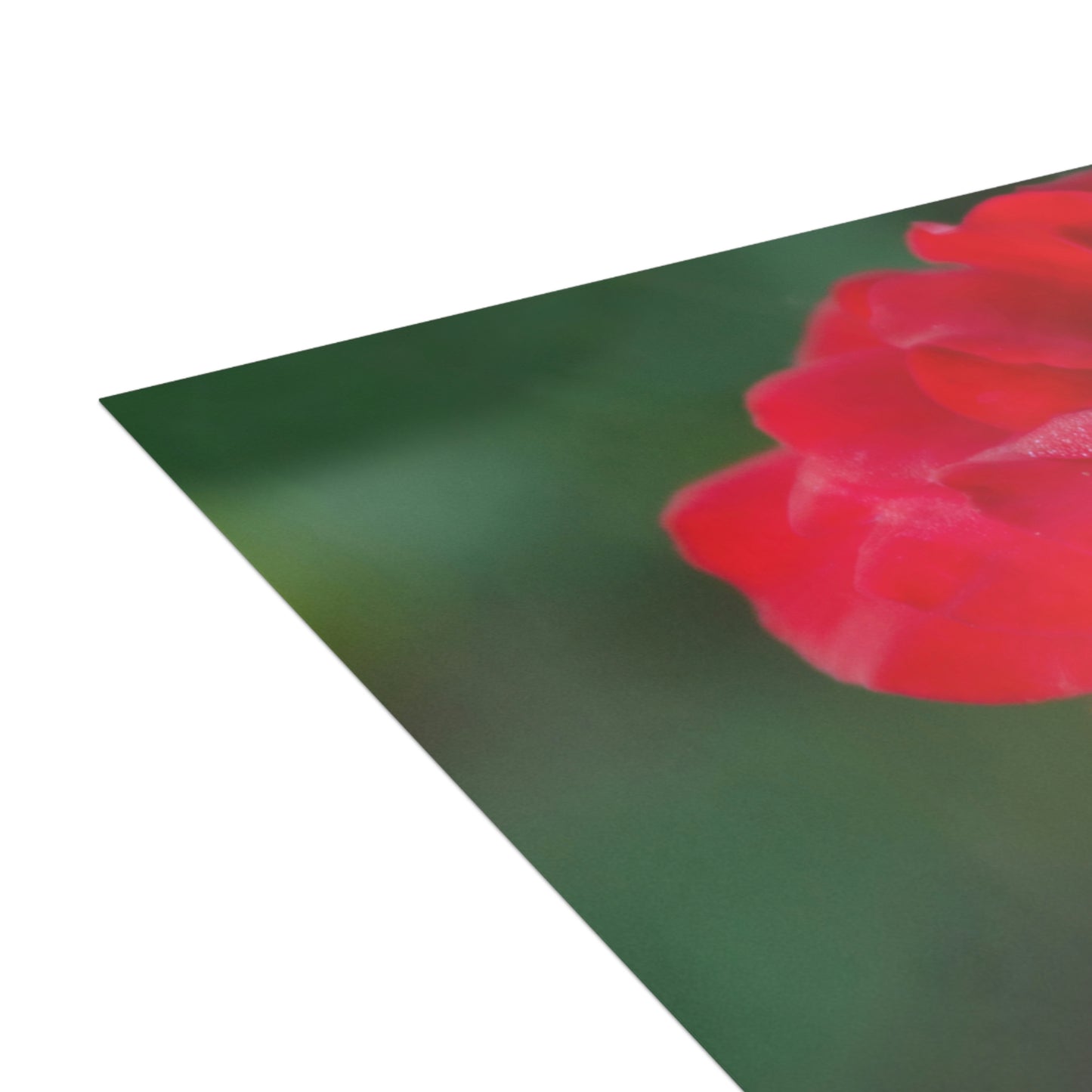 Flowers 13 Greeting Cards (1, 10, 30, and 50pcs)