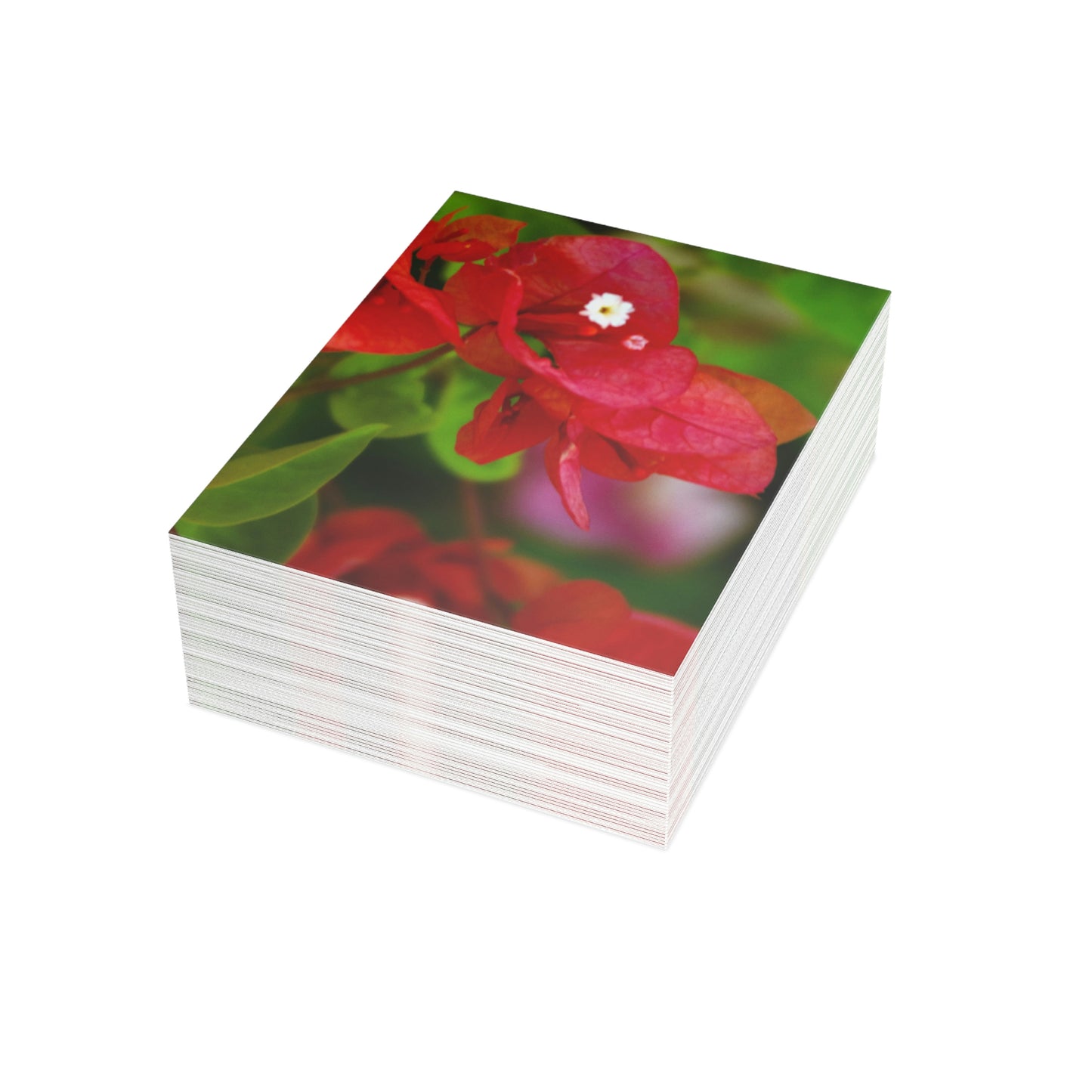 Flowers 28 Greeting Cards (1, 10, 30, and 50pcs)