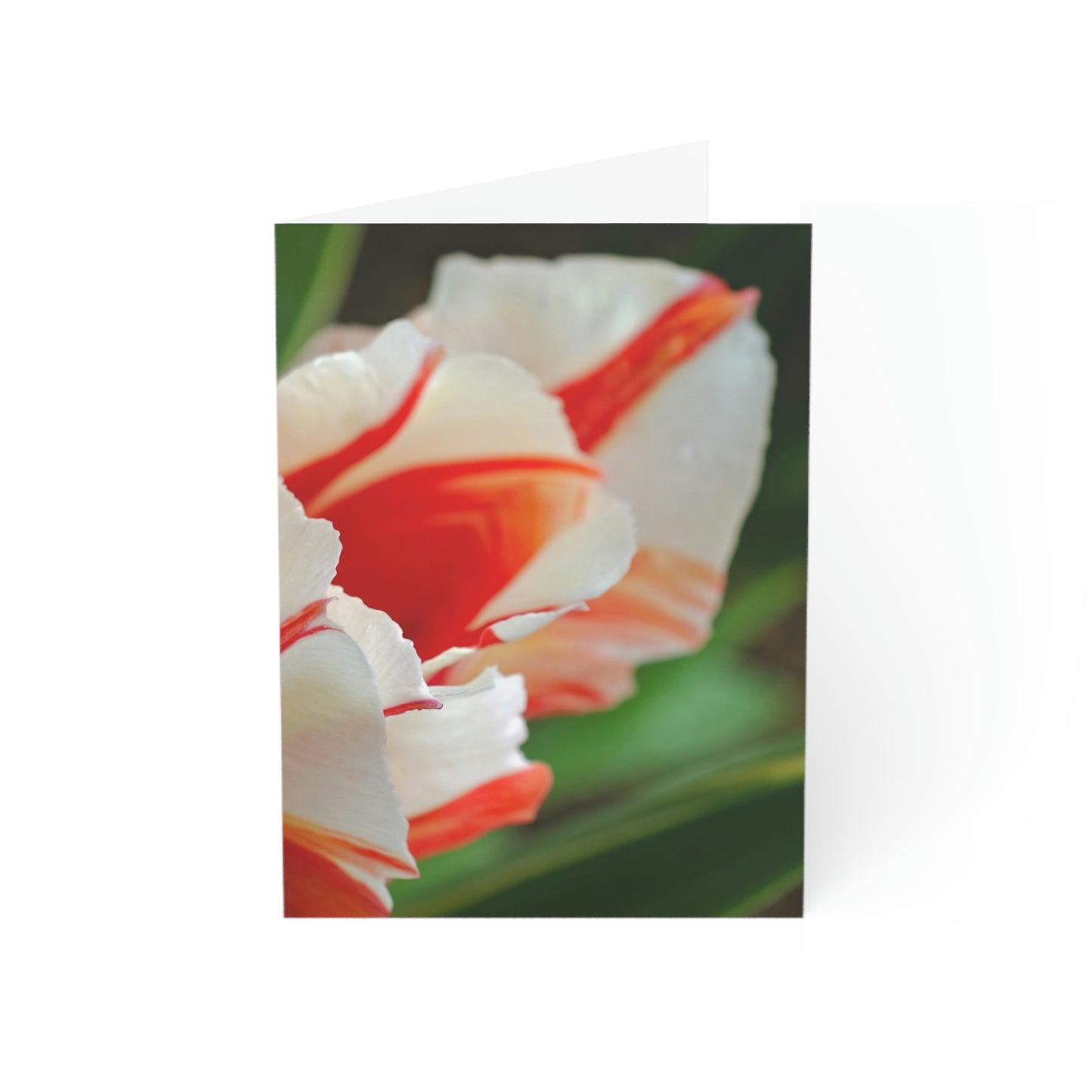 Flowers 12 Greeting Cards (1, 10, 30, and 50pcs)