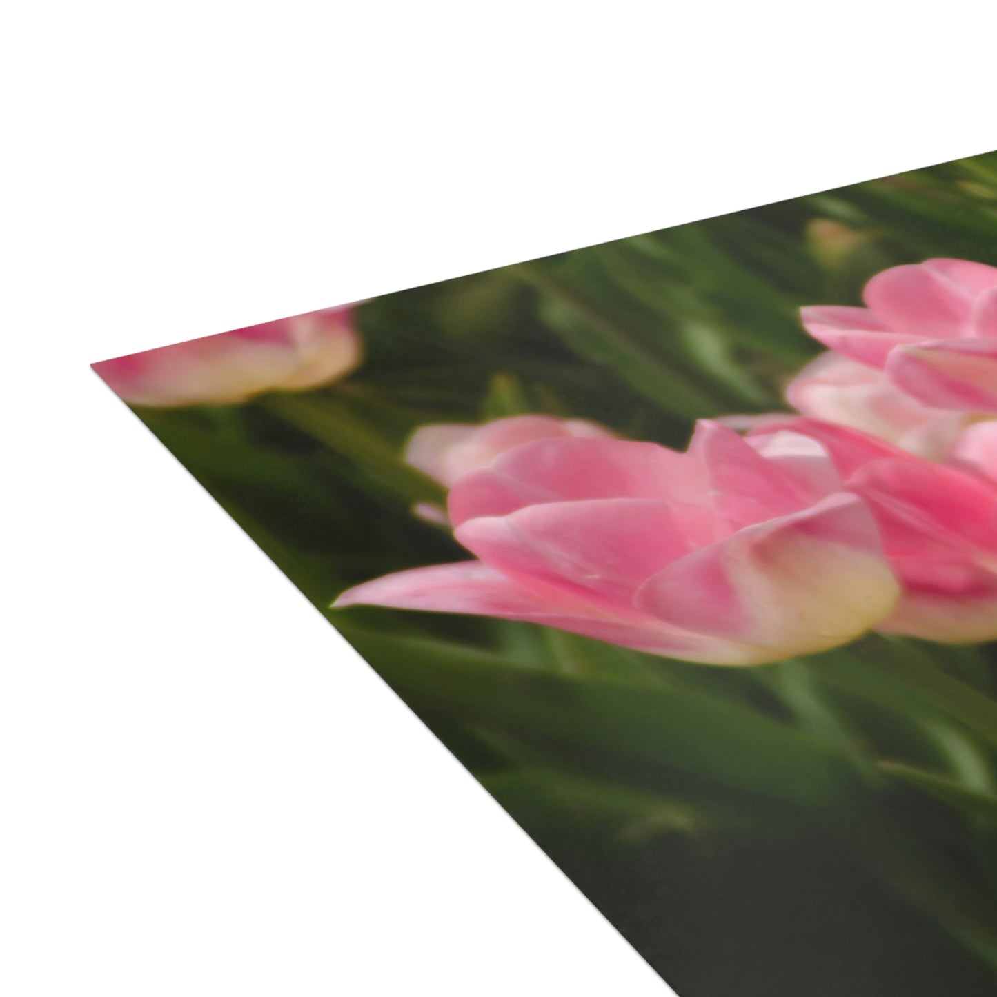 Flowers 17 Greeting Cards (1, 10, 30, and 50pcs)