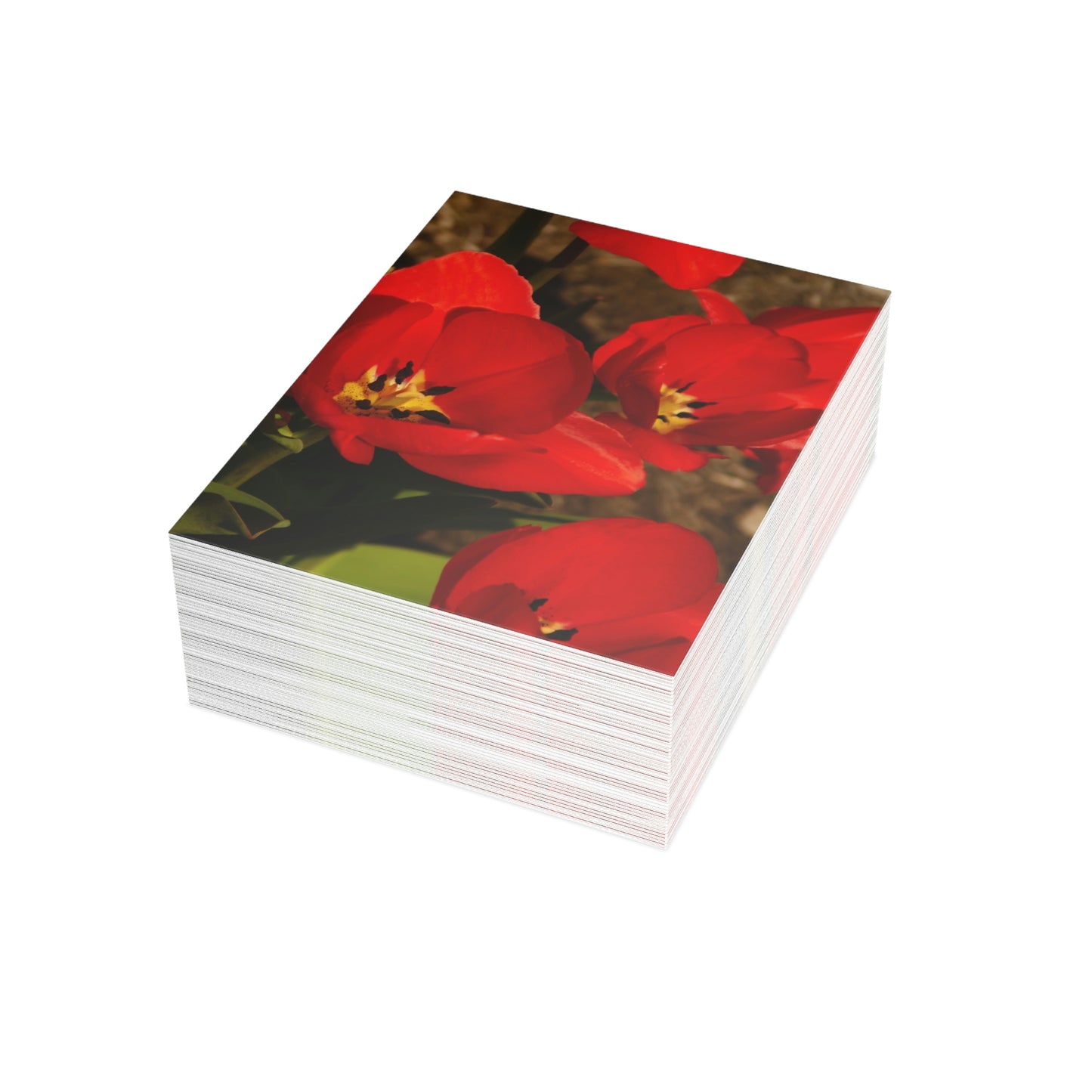 Flowers 05 Greeting Cards (1, 10, 30, and 50pcs)