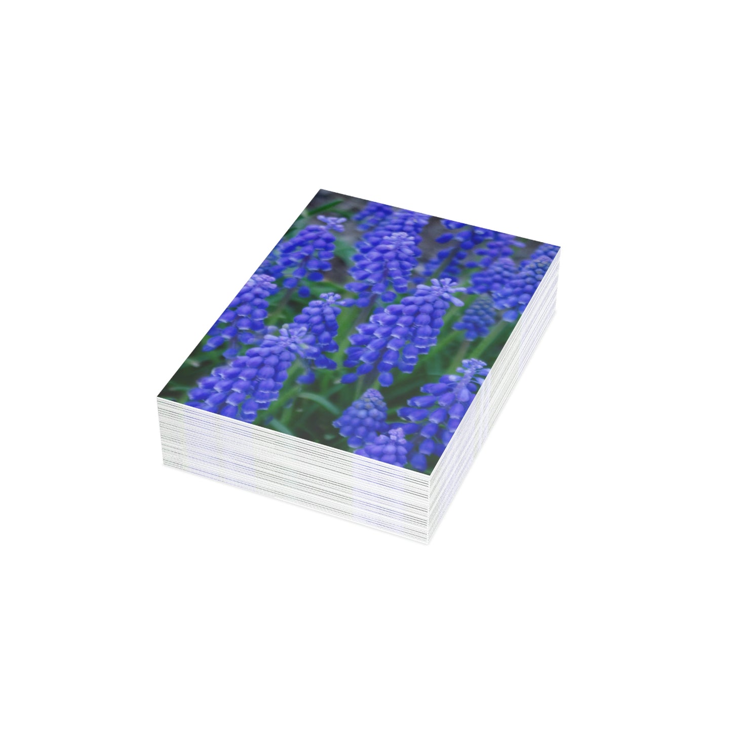 Flowers 10 Greeting Cards (1, 10, 30, and 50pcs)