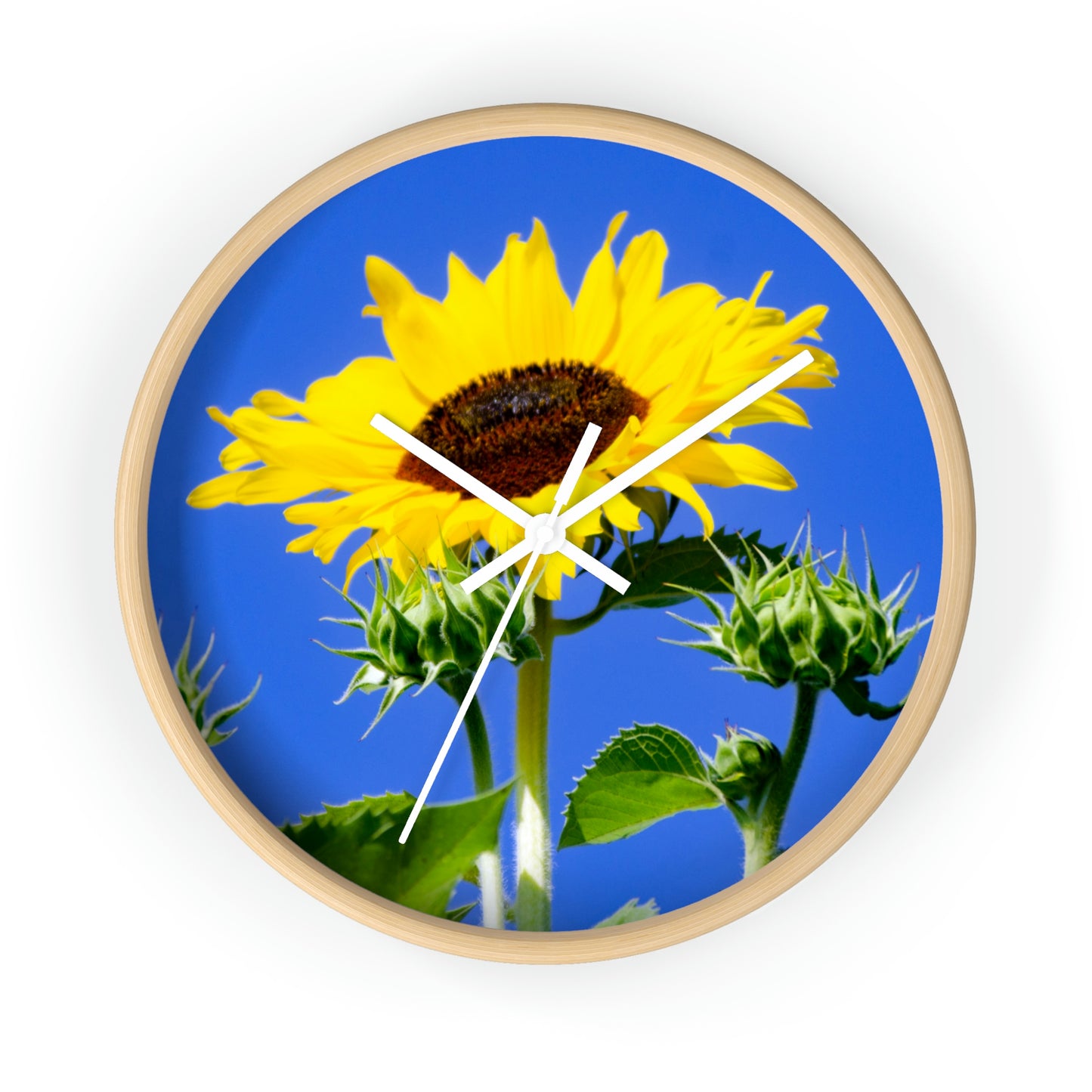 Flowers 02 Wall Clock