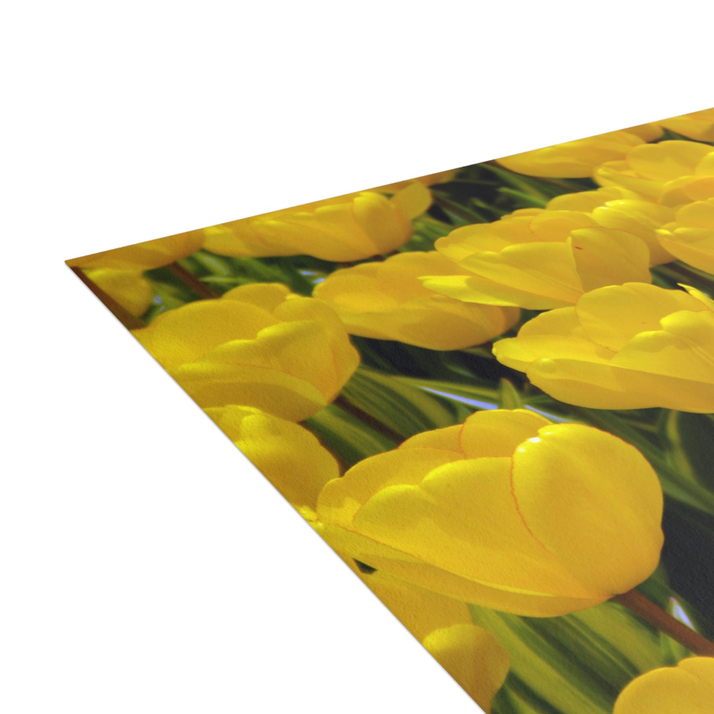 Flowers 23 Greeting Cards (1, 10, 30, and 50pcs)