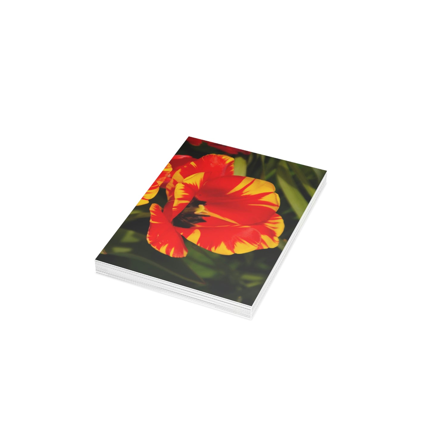Flowers 09 Greeting Cards (1, 10, 30, and 50pcs)