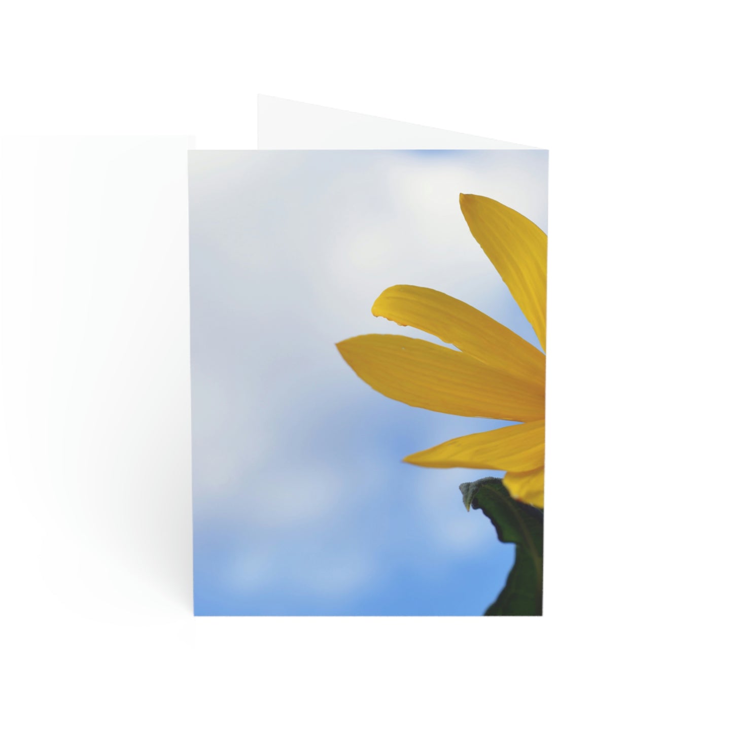 Flowers 32 Greeting Cards (1, 10, 30, and 50pcs)