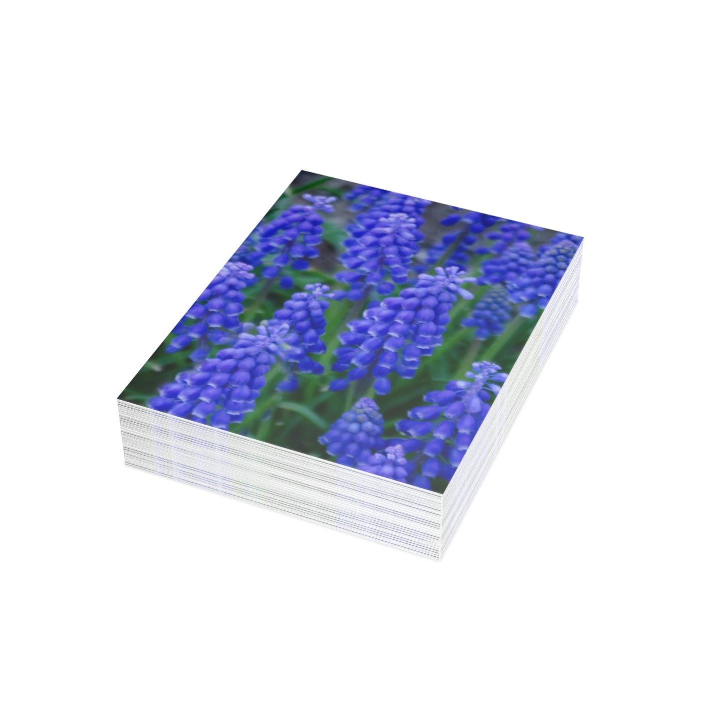 Flowers 10 Greeting Cards (1, 10, 30, and 50pcs)