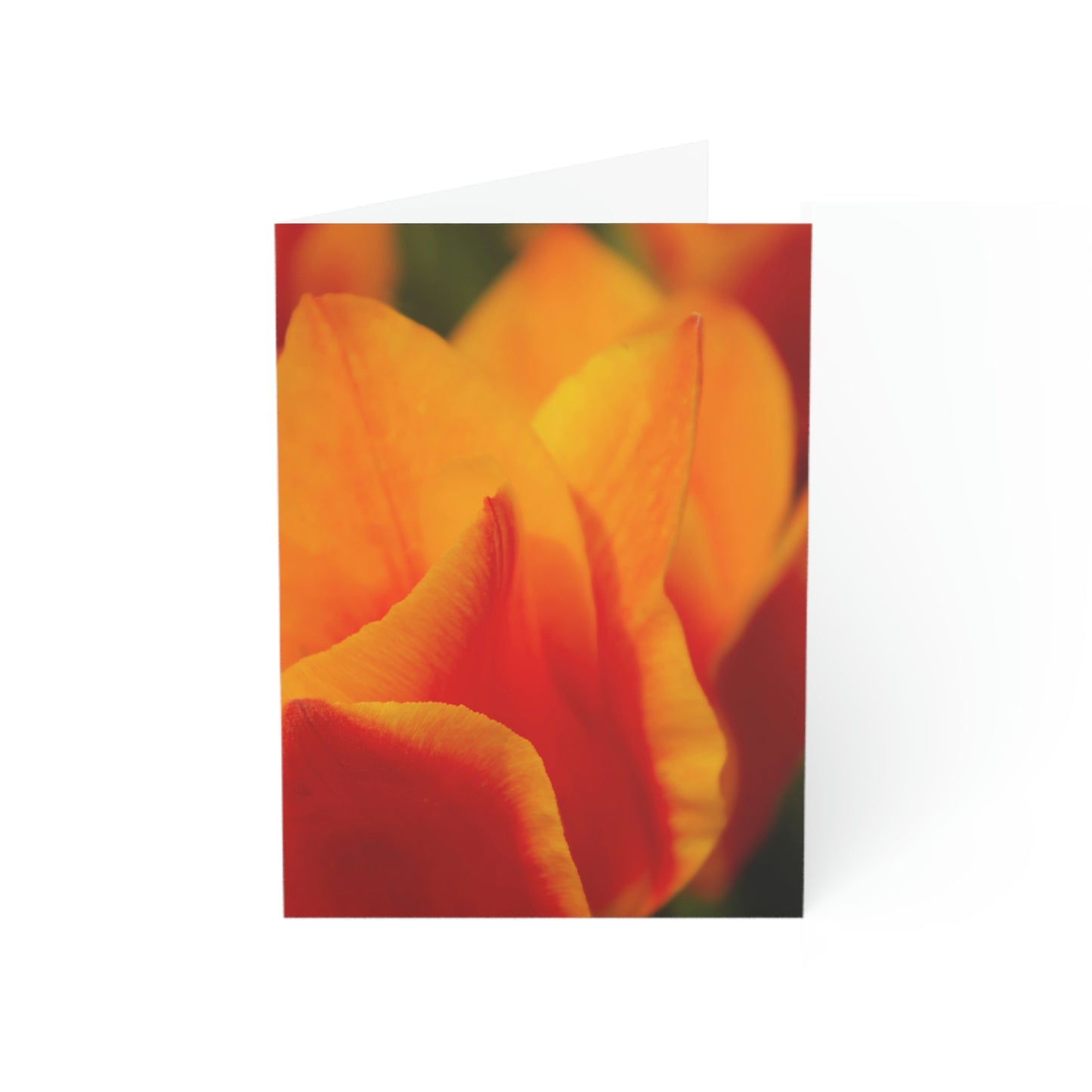 Flowers 15 Greeting Cards (1, 10, 30, and 50pcs)