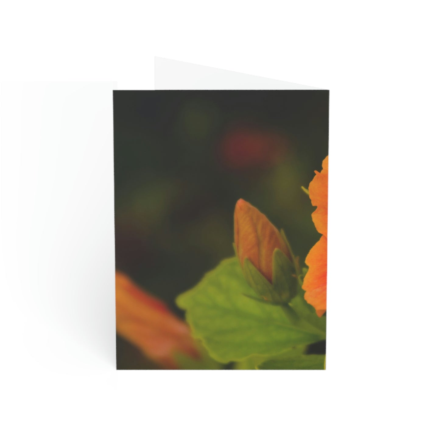 Flowers 31 Greeting Cards (1, 10, 30, and 50pcs)