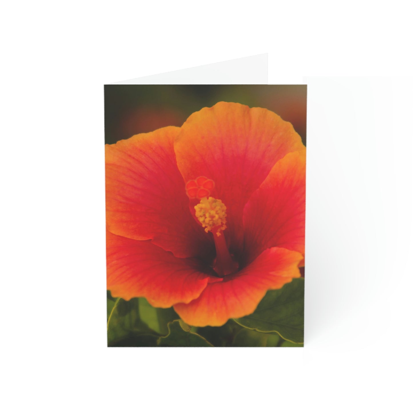 Flowers 31 Greeting Cards (1, 10, 30, and 50pcs)