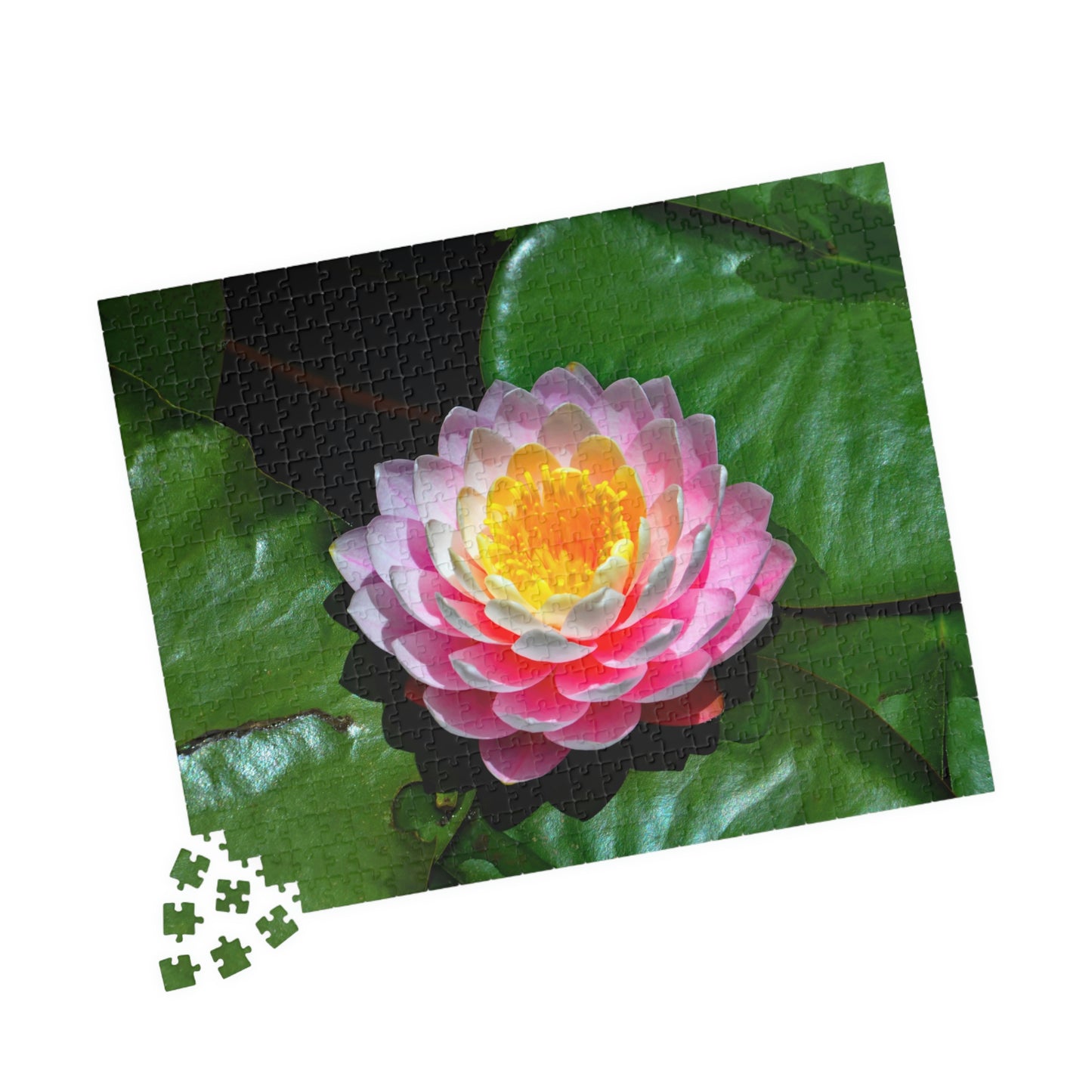 Flowers 25 Puzzle (110, 252, 500, 1014-piece)