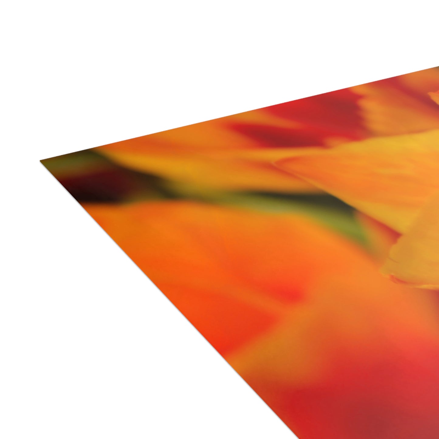 Flowers 15 Greeting Cards (1, 10, 30, and 50pcs)