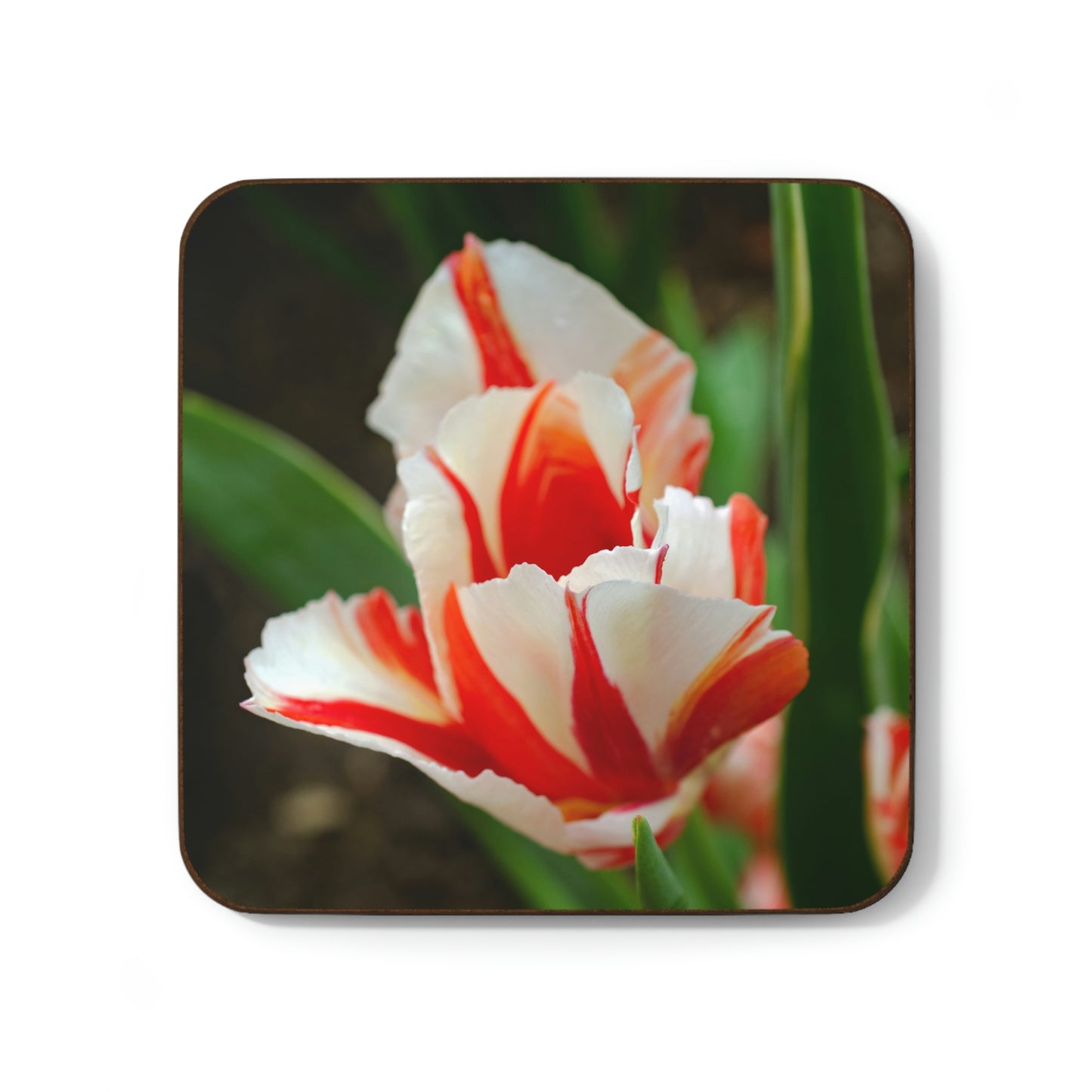Flowers 06 Hardboard Back Coaster