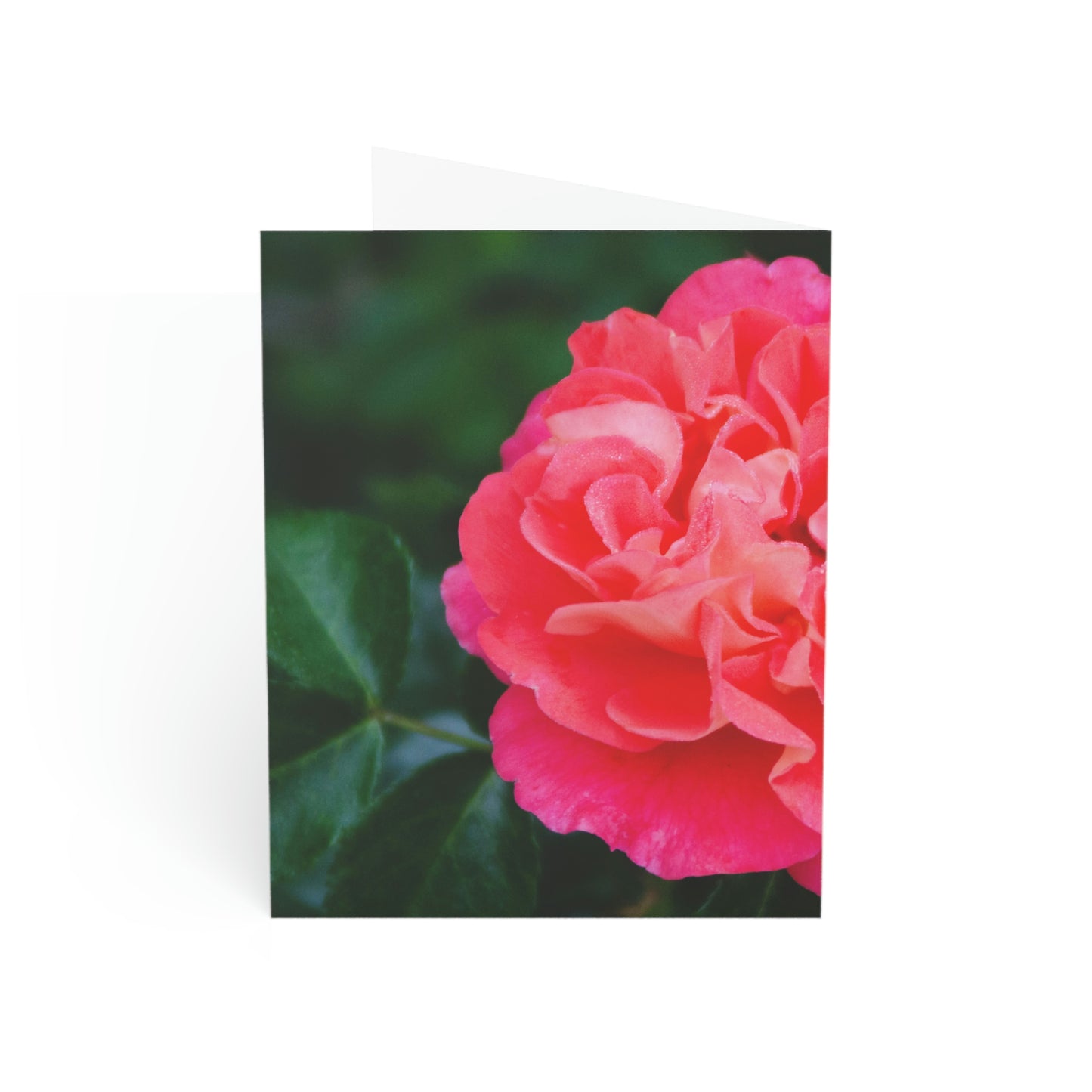 Flowers 06 Greeting Cards (1, 10, 30, and 50pcs)
