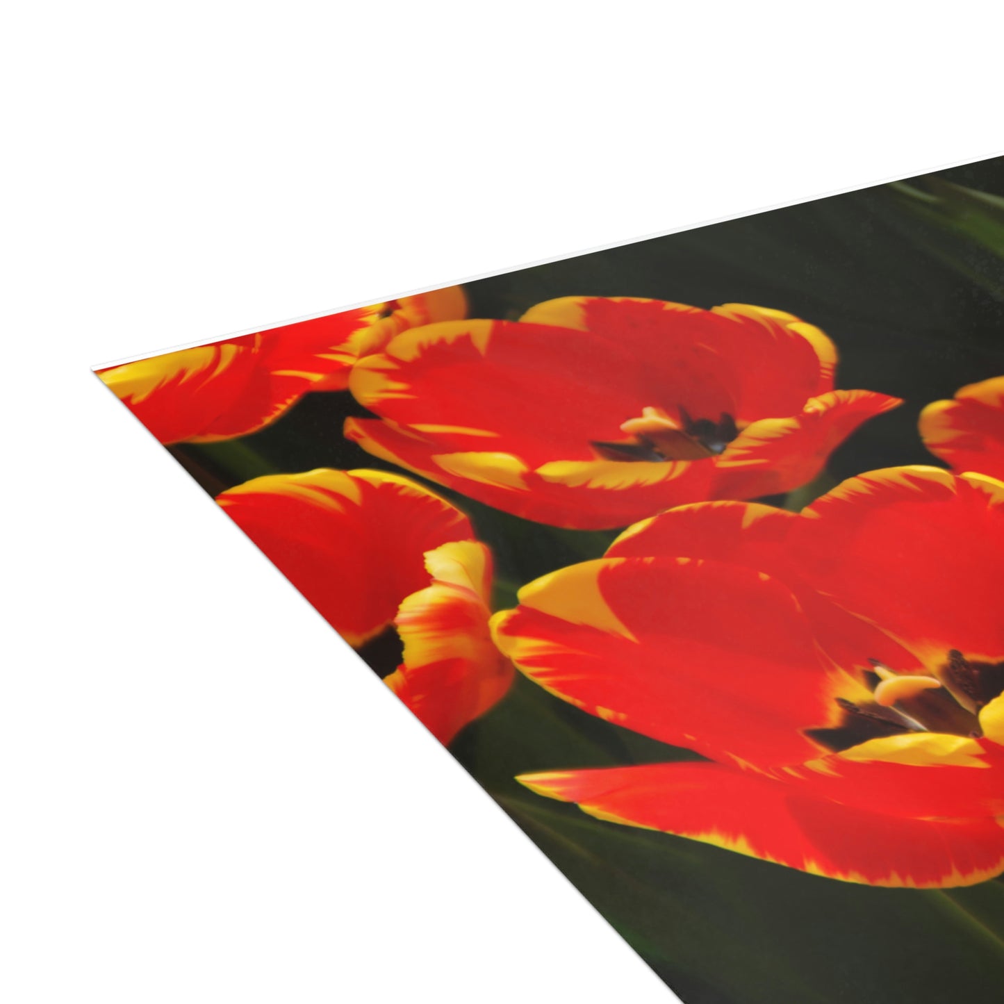 Flowers 19 Greeting Cards (1, 10, 30, and 50pcs)