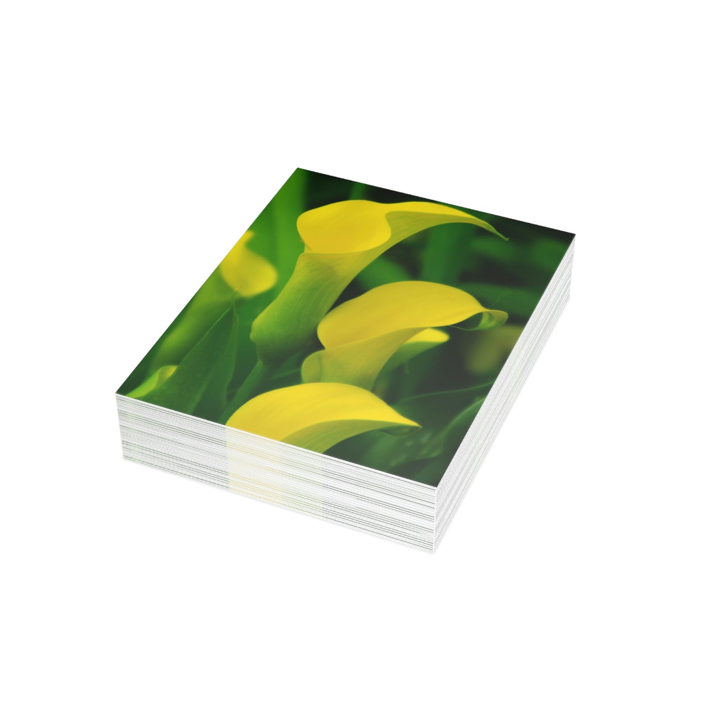 Flowers 33 Greeting Cards (1, 10, 30, and 50pcs)