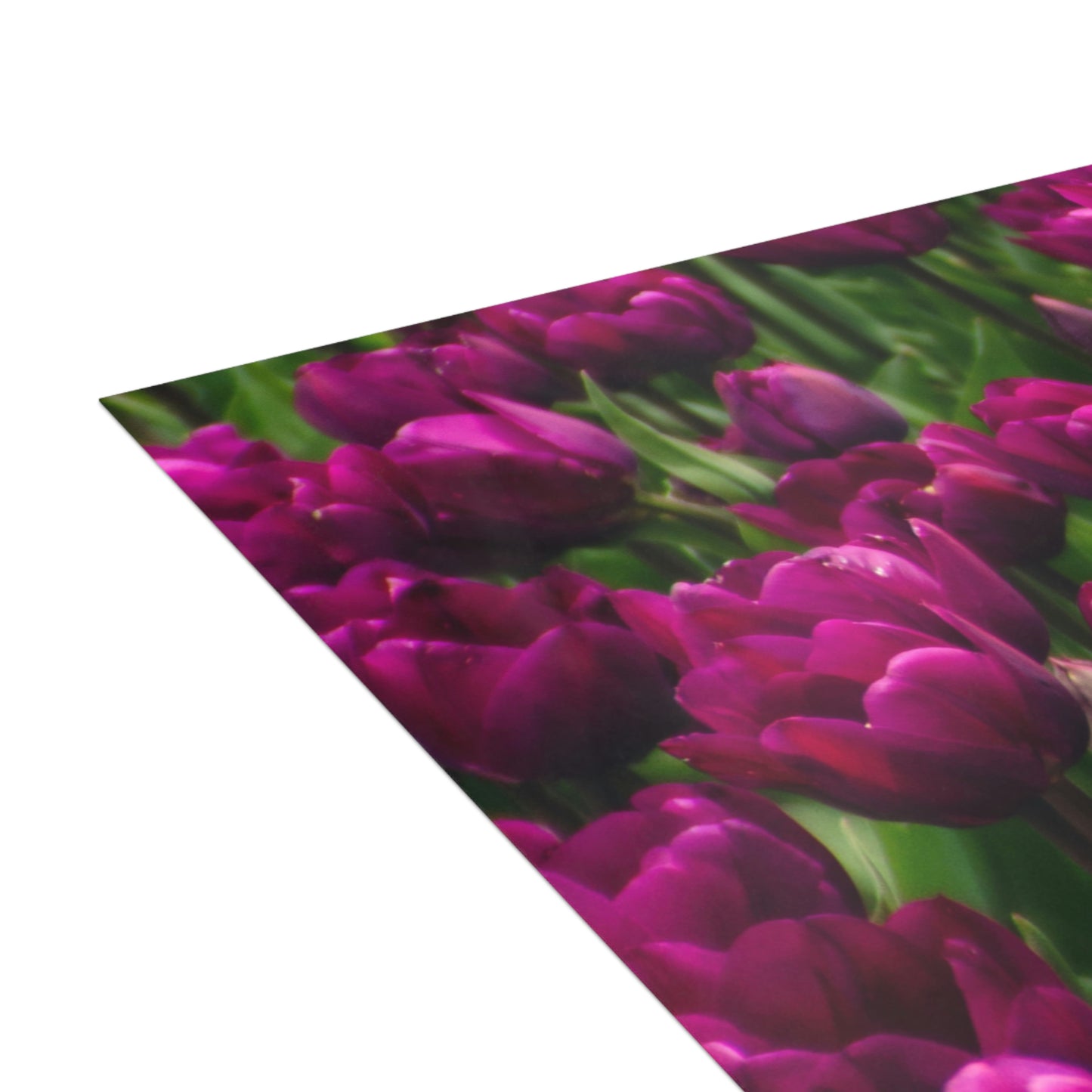 Flowers 20 Greeting Cards (1, 10, 30, and 50pcs)