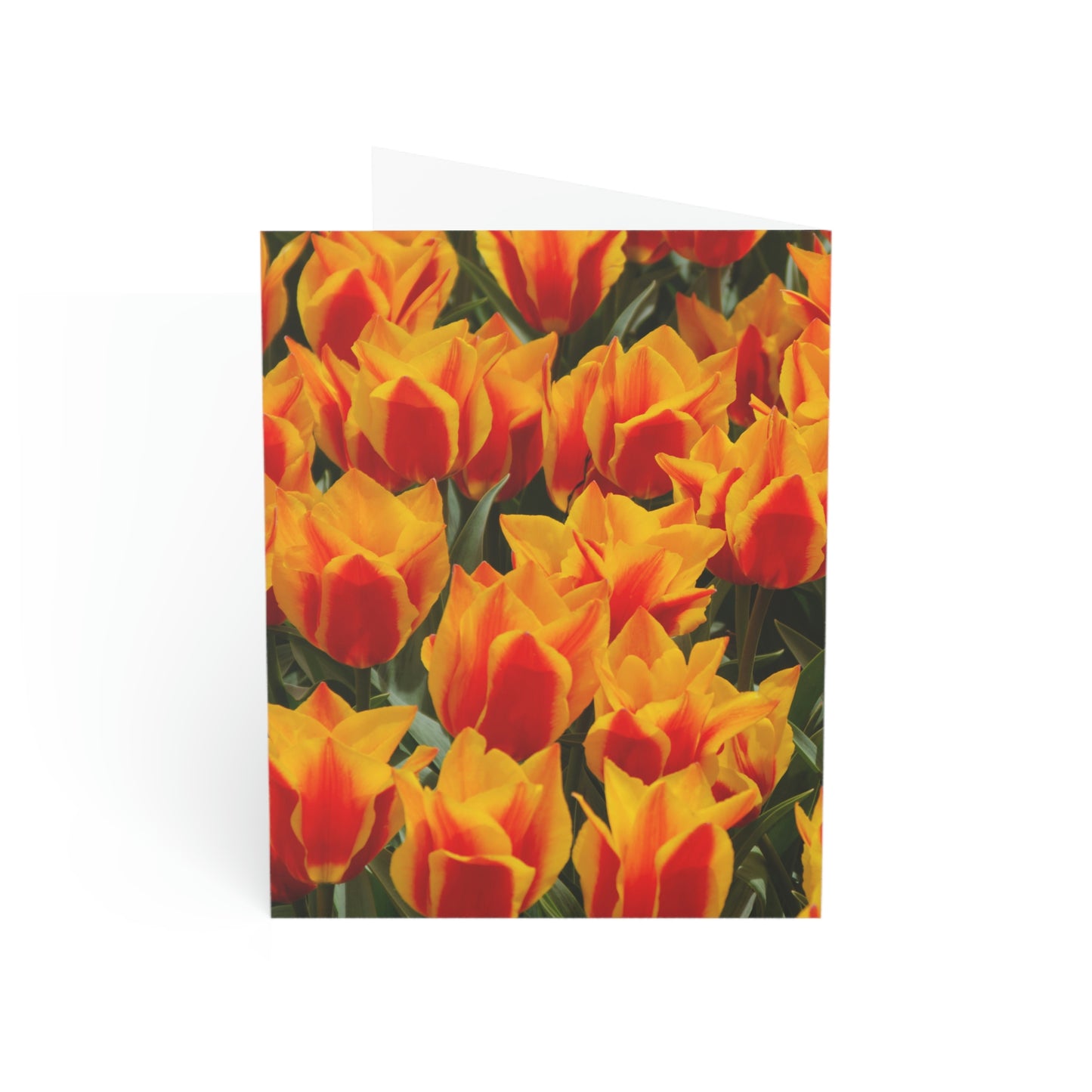 Flowers 18 Greeting Cards (1, 10, 30, and 50pcs)