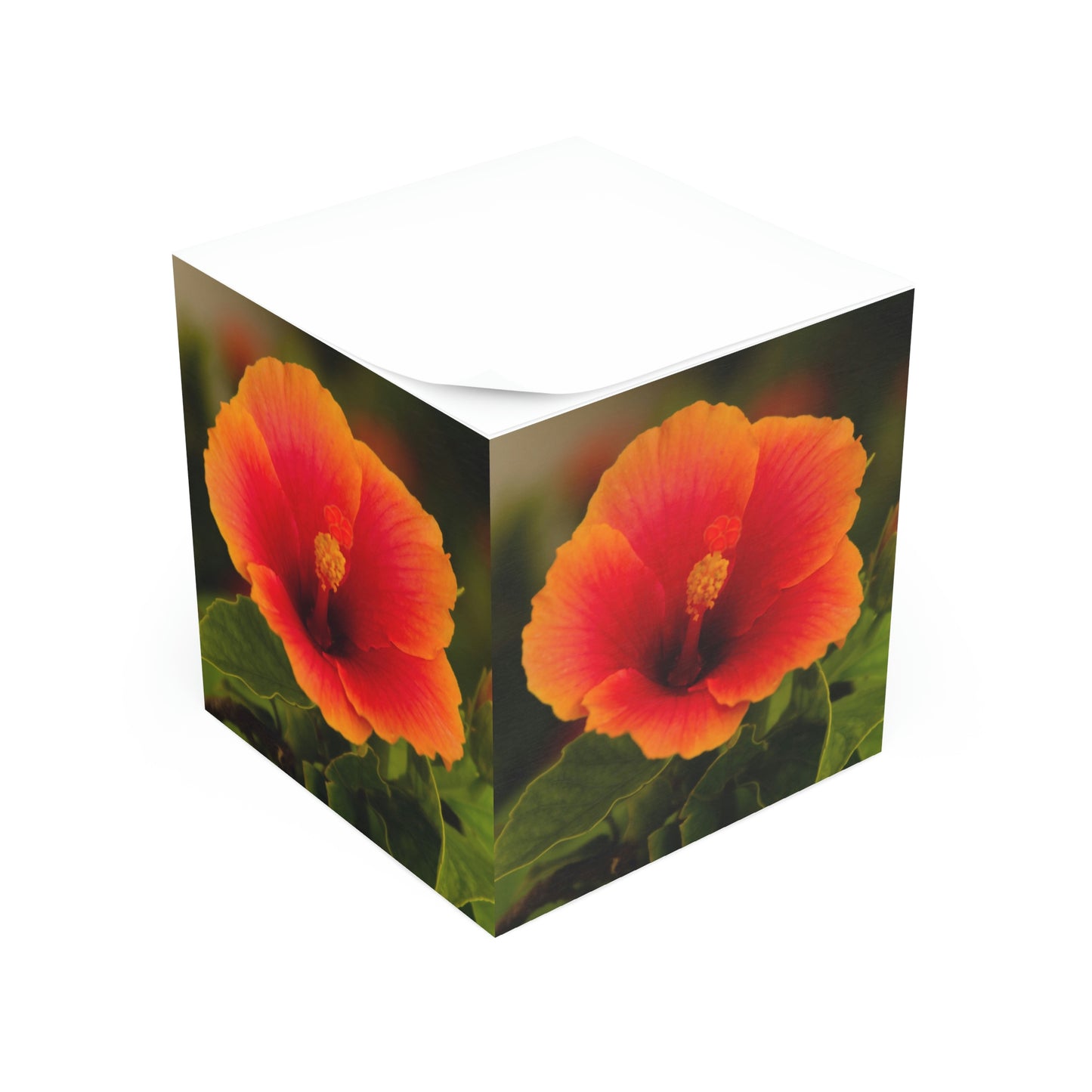 Flower 33 Note Cube