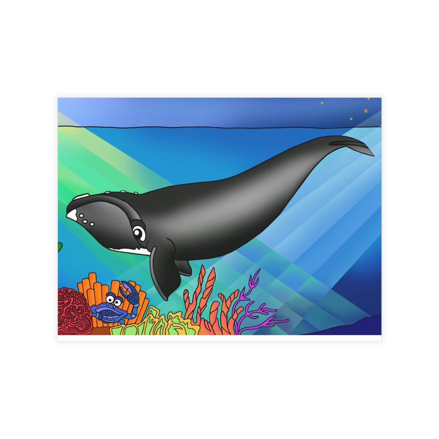 Gray Whale Greeting Card Bundles (envelopes not included)