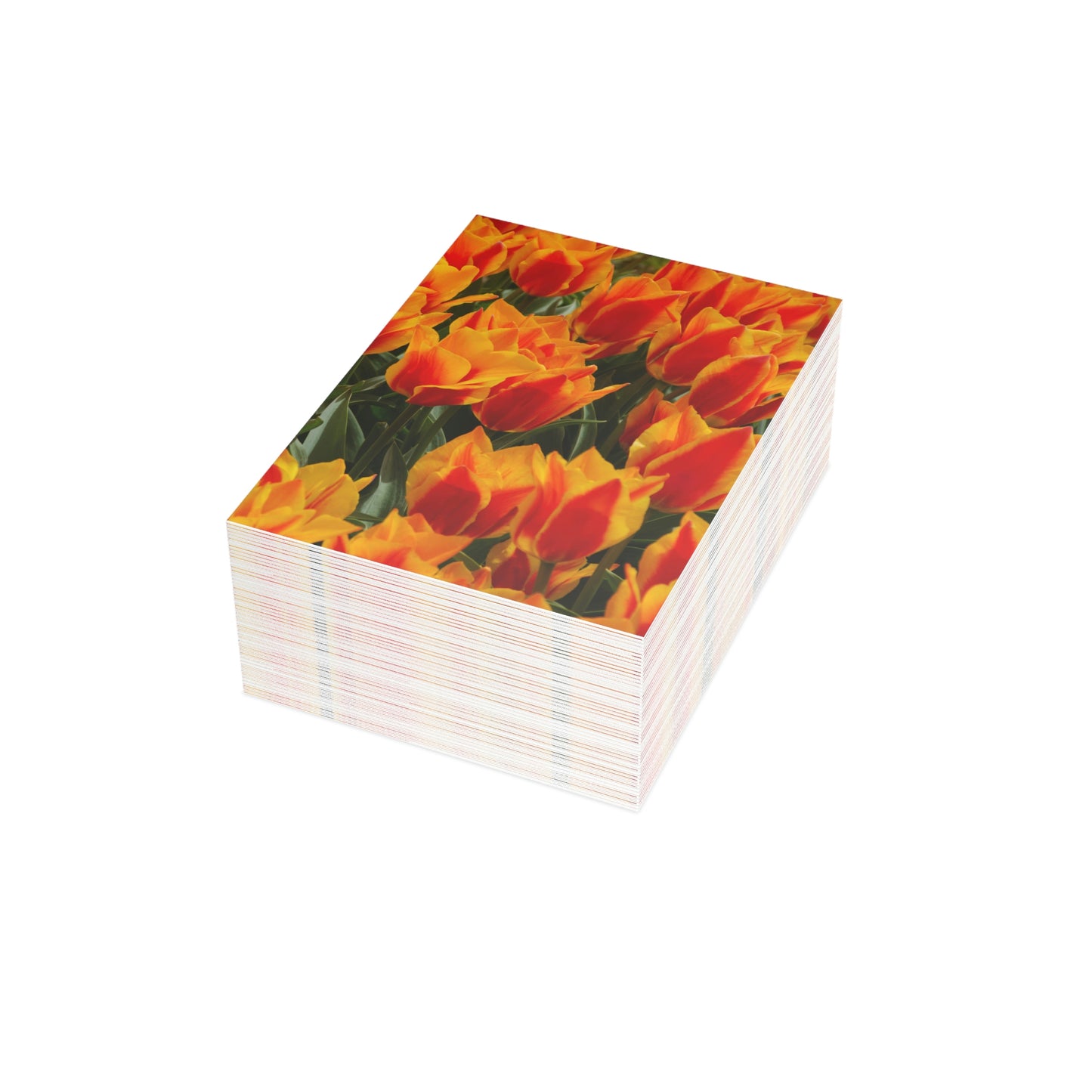 Flowers 18 Greeting Cards (1, 10, 30, and 50pcs)
