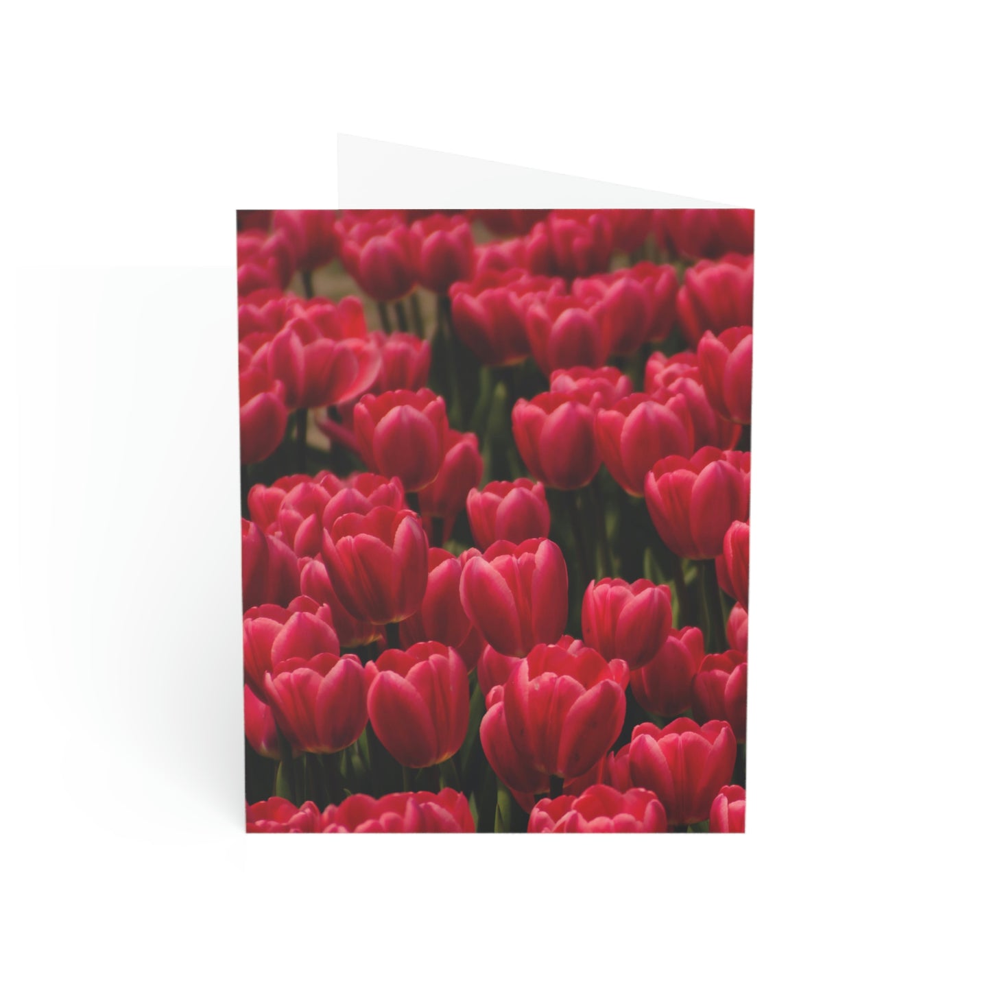 Flowers 16 Greeting Cards (1, 10, 30, and 50pcs)