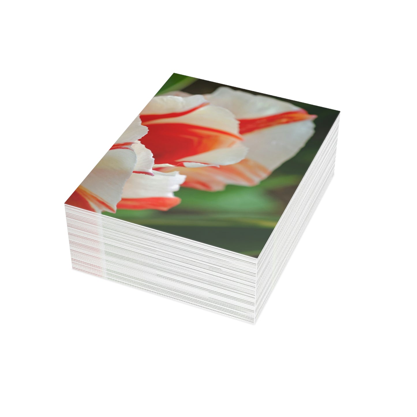 Flowers 12 Greeting Cards (1, 10, 30, and 50pcs)