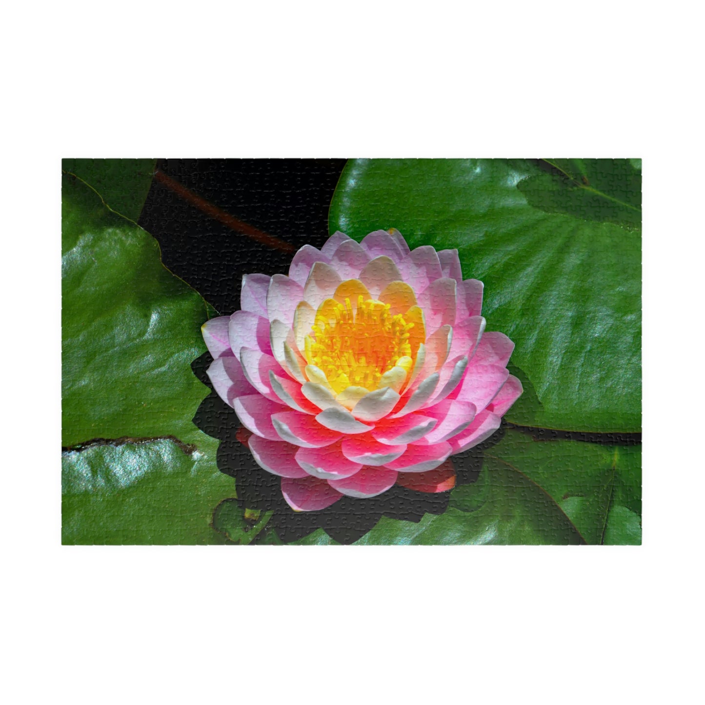 Flowers 25 Puzzle (110, 252, 500, 1014-piece)