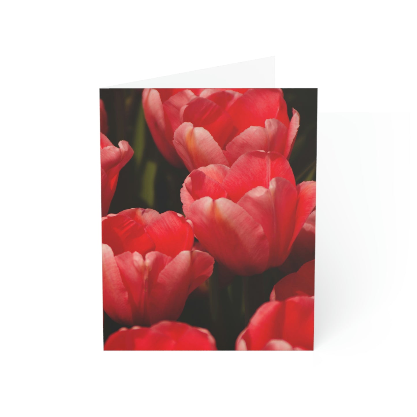 Flowers 07 Greeting Cards (1, 10, 30, and 50pcs)