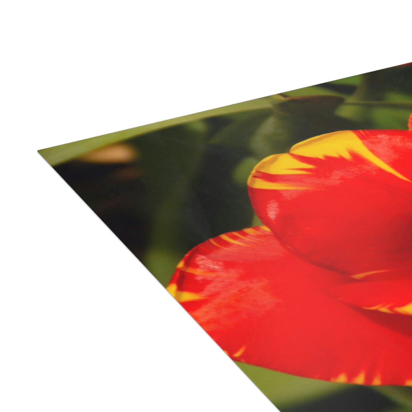 Flowers 09 Greeting Cards (1, 10, 30, and 50pcs)